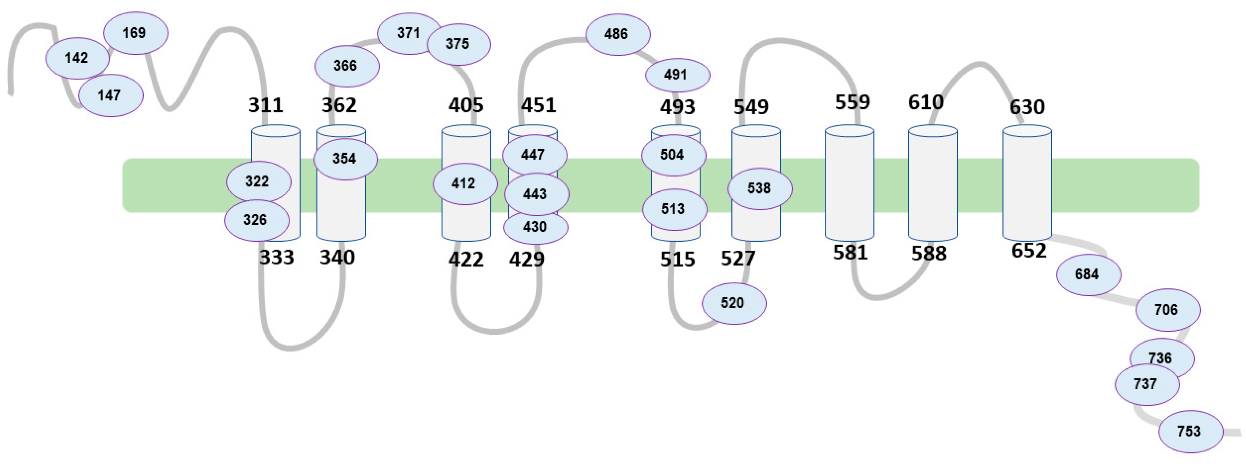 Healthcare 11 01888 g002