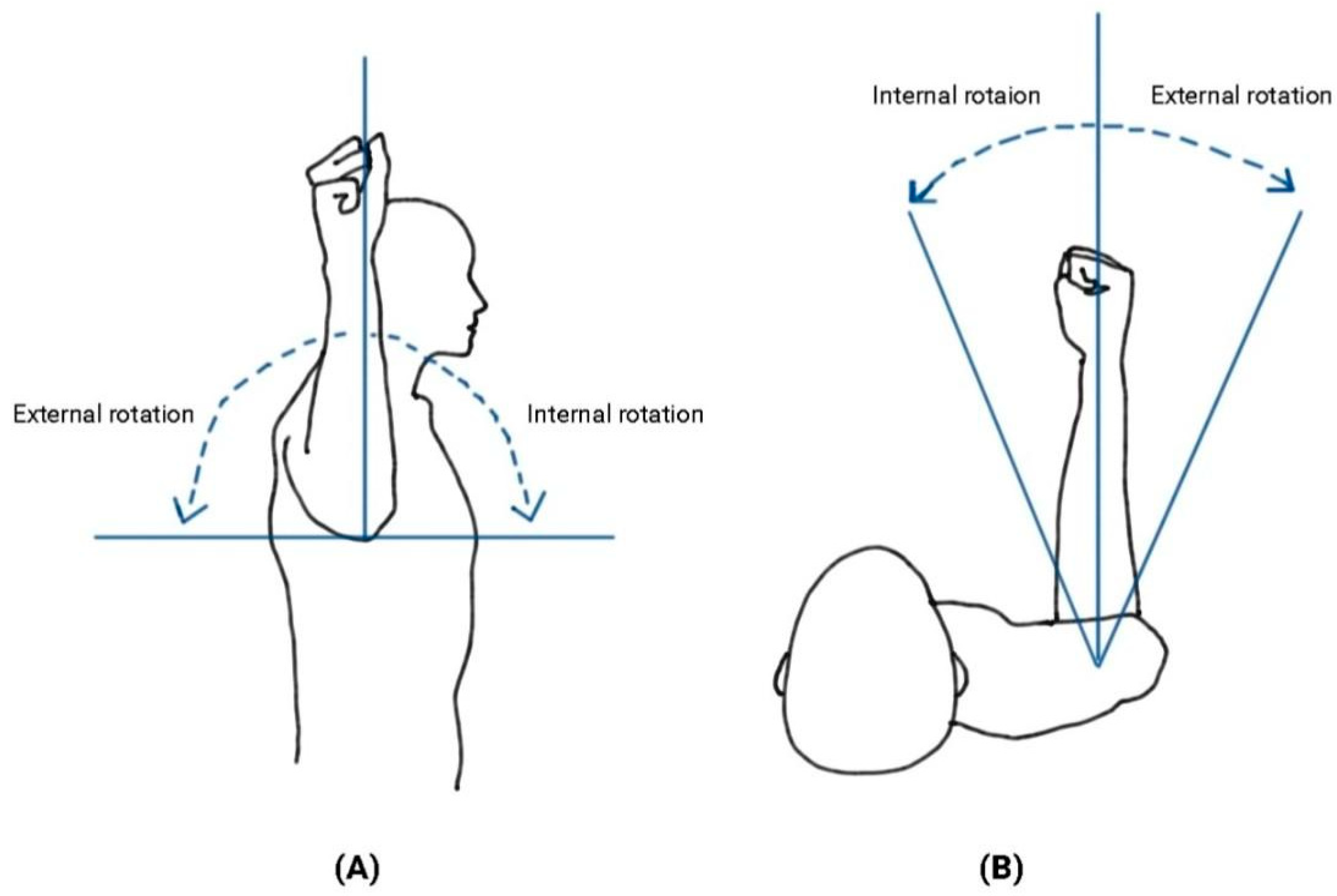 Medial And Lateral Rotation