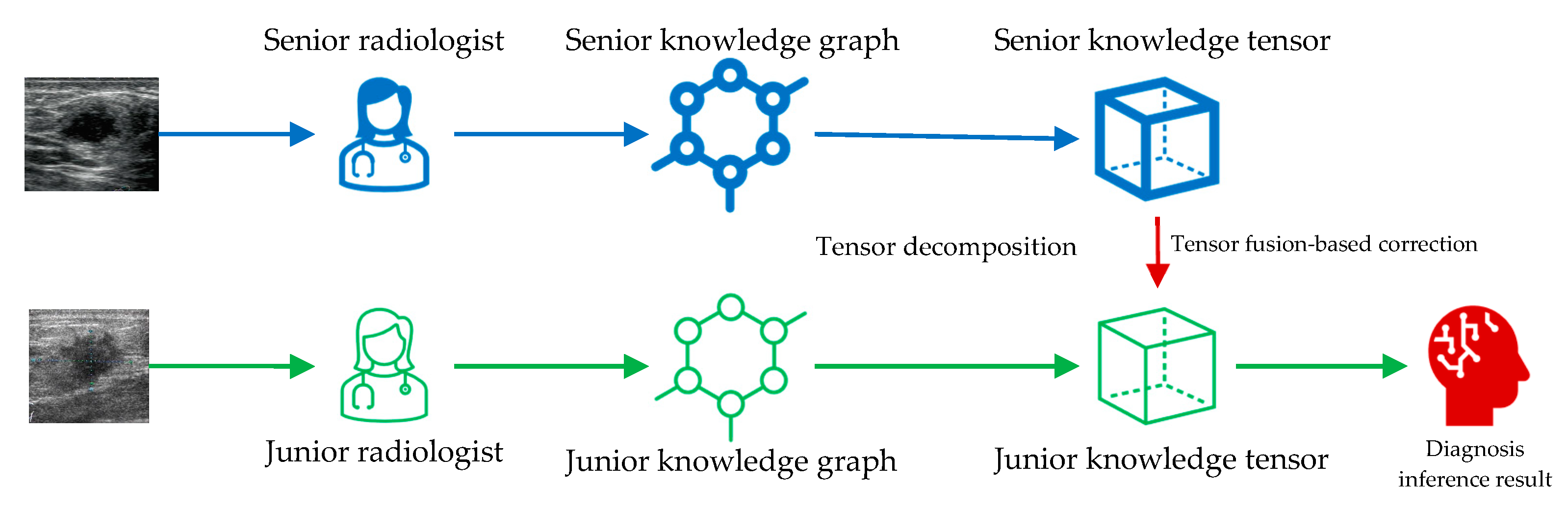 Healthcare 11 02014 g001