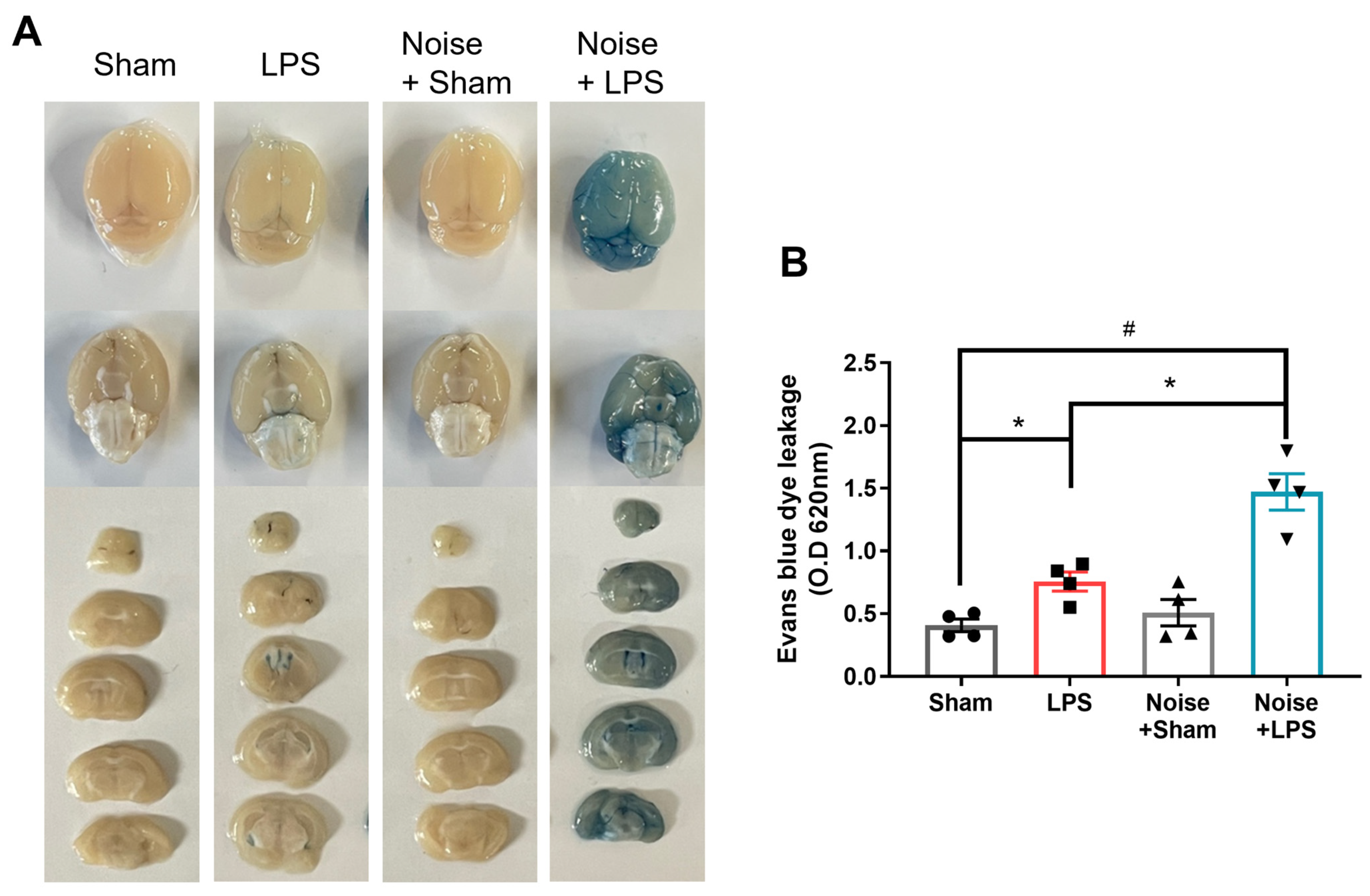 Healthcare 11 02067 g005