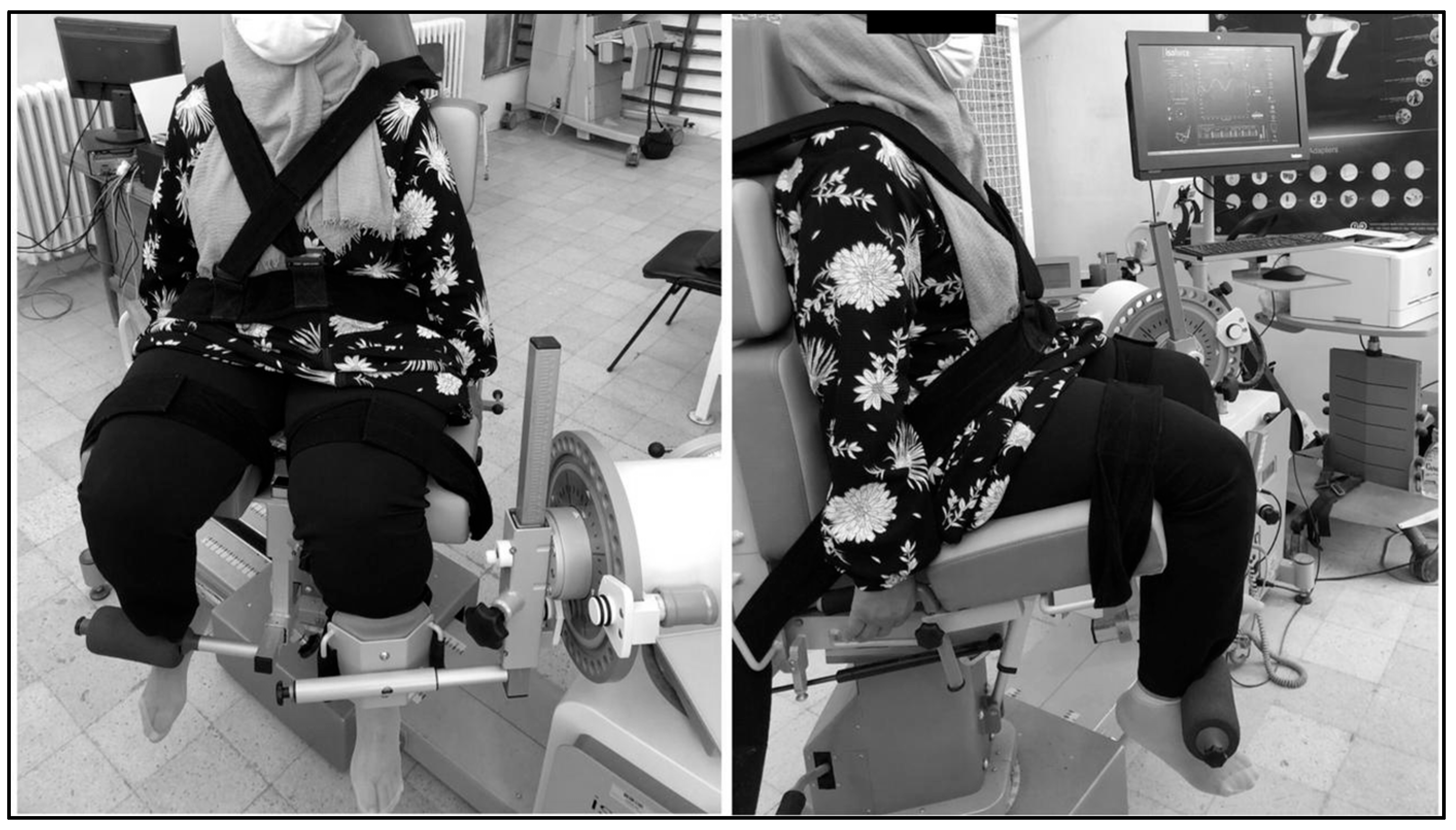 Healthcare 11 02079 g002