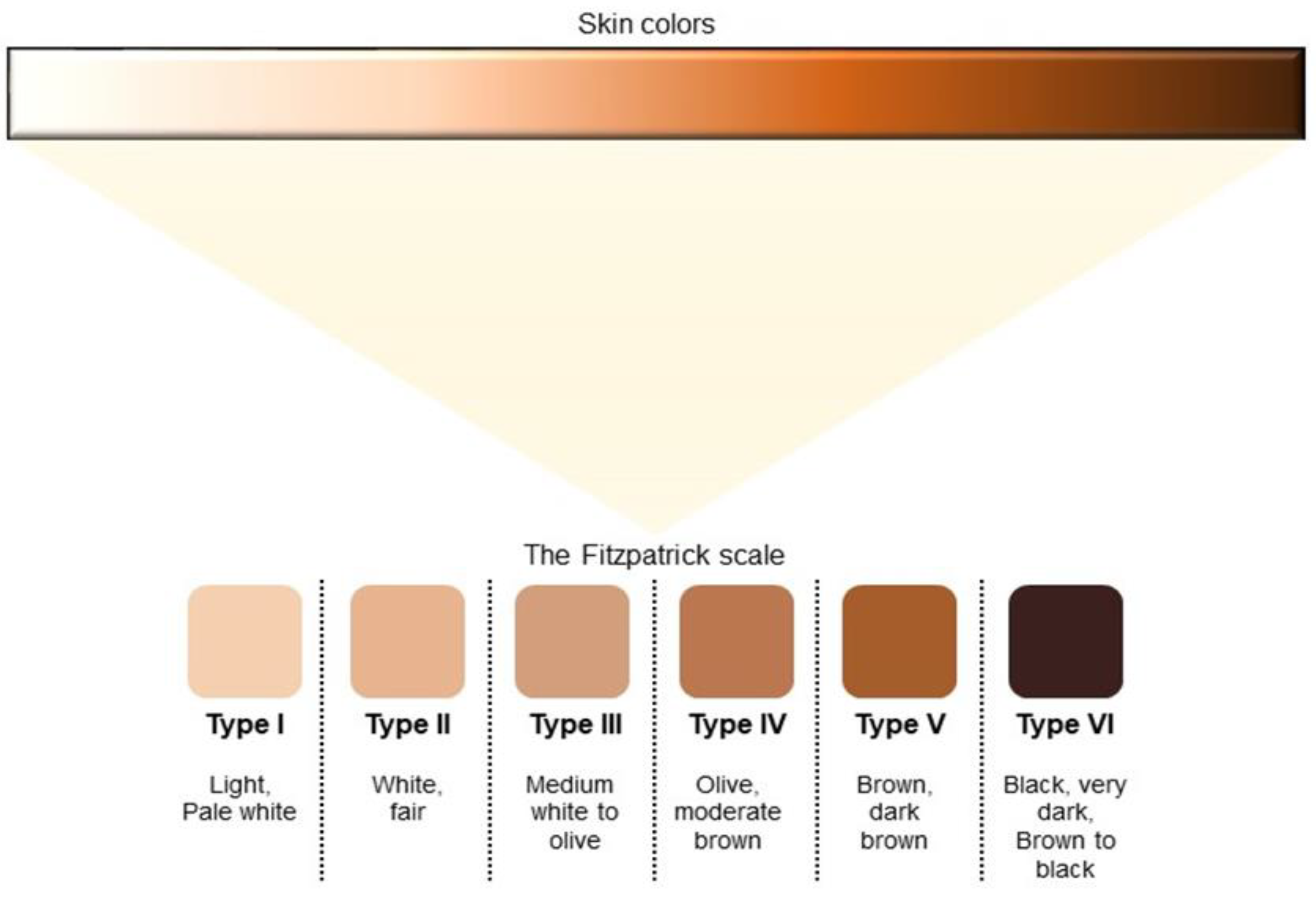 healthcare-free-full-text-human-skin-pigmentation-from-a