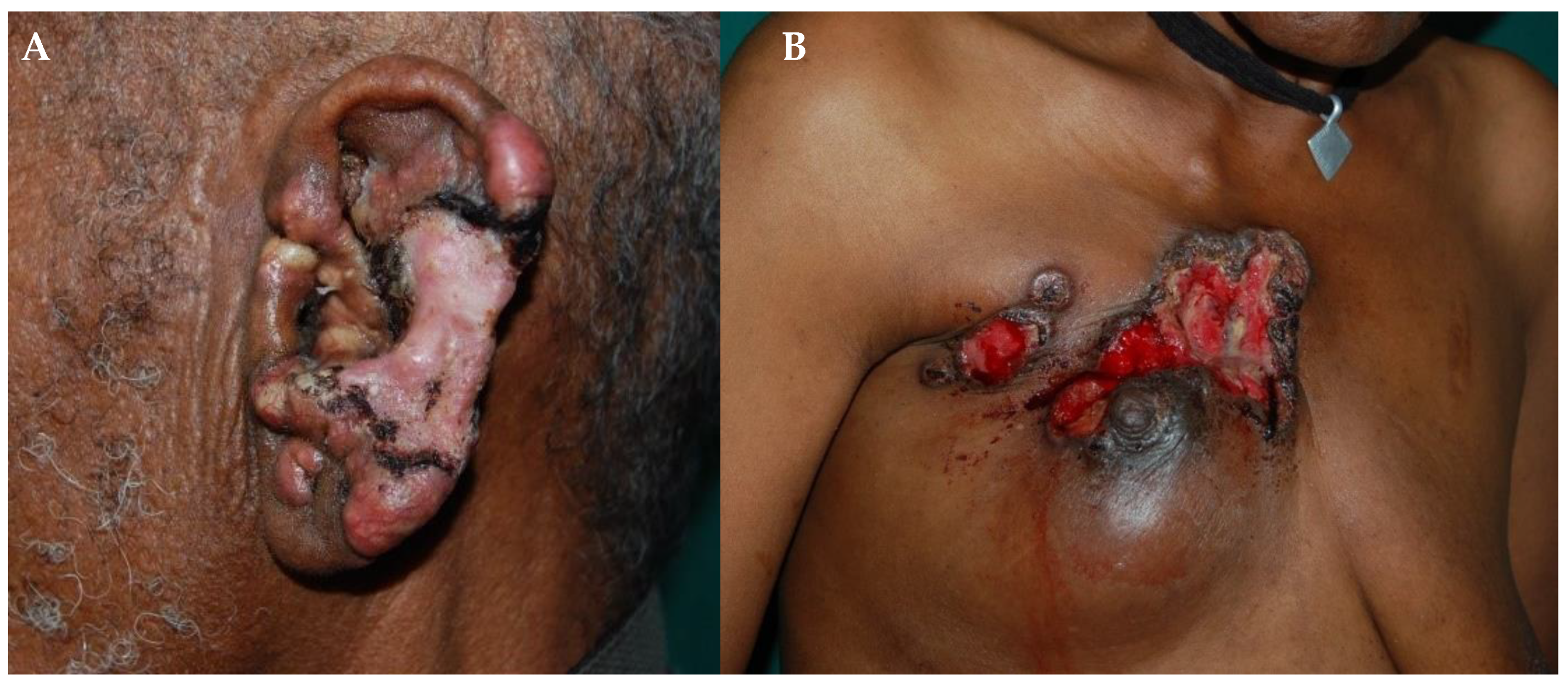 Healthcare 11 02091 g010