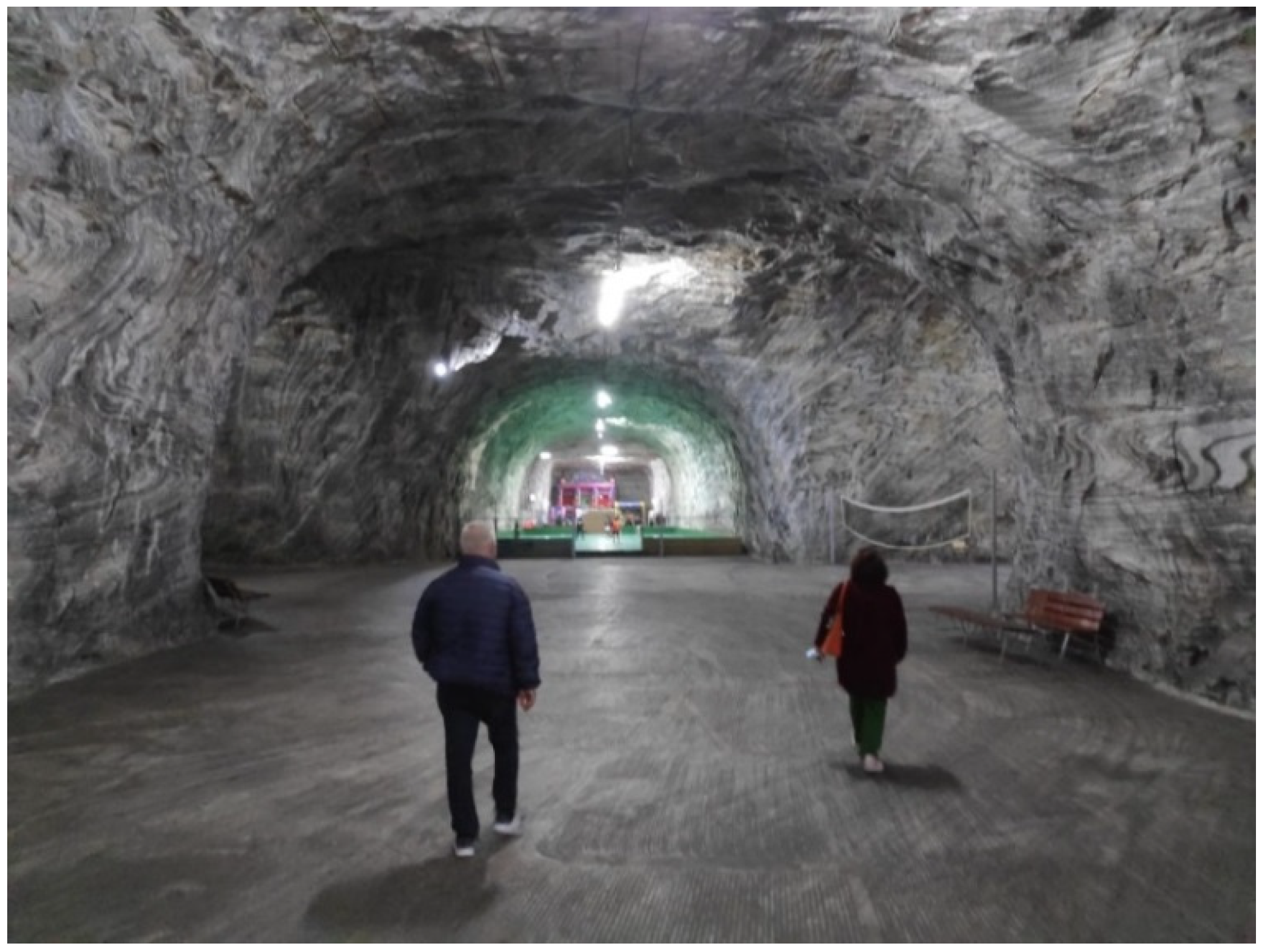 Healthcare 11 02104 g001 Healthcare 11 02104 g001