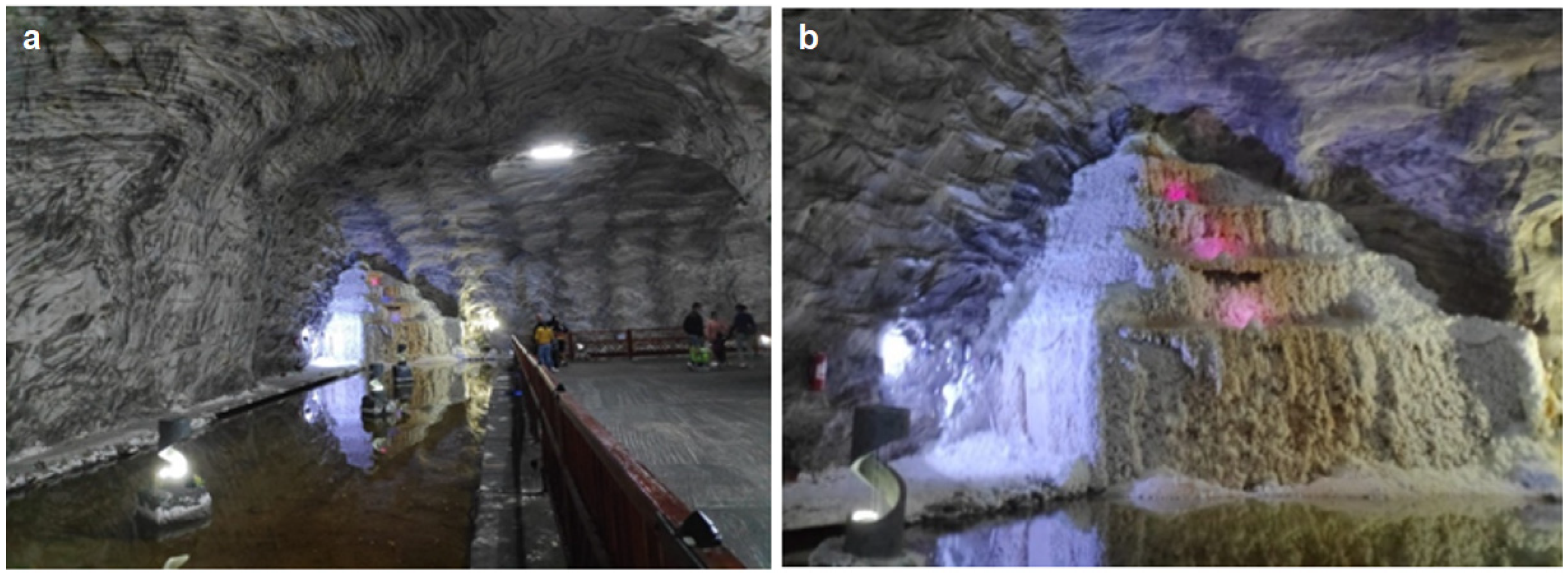 Healthcare 11 02104 g003 Healthcare 11 02104 g003