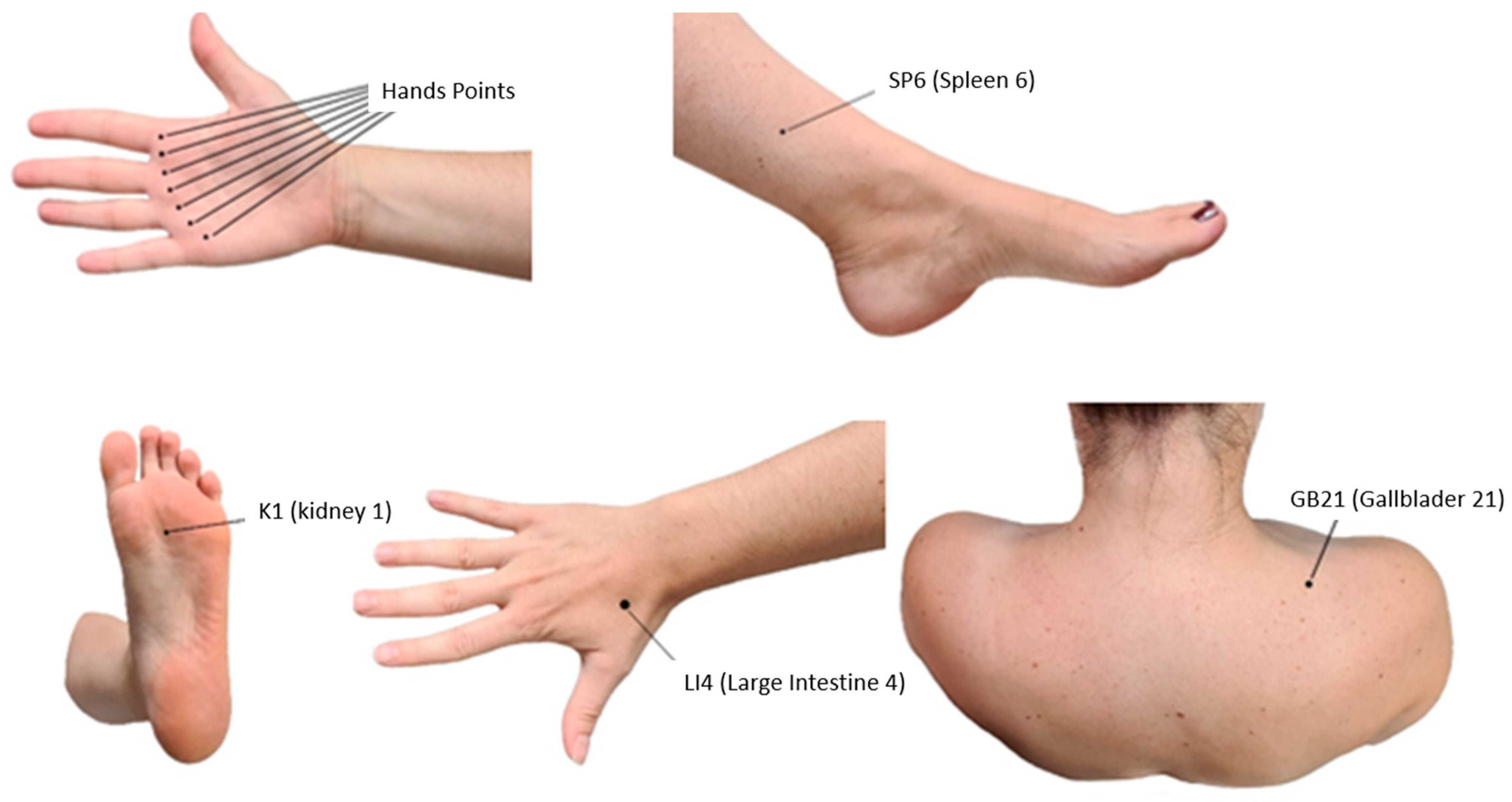 Healthcare 11 02111 g0a1 Healthcare 11 02111 g0a1