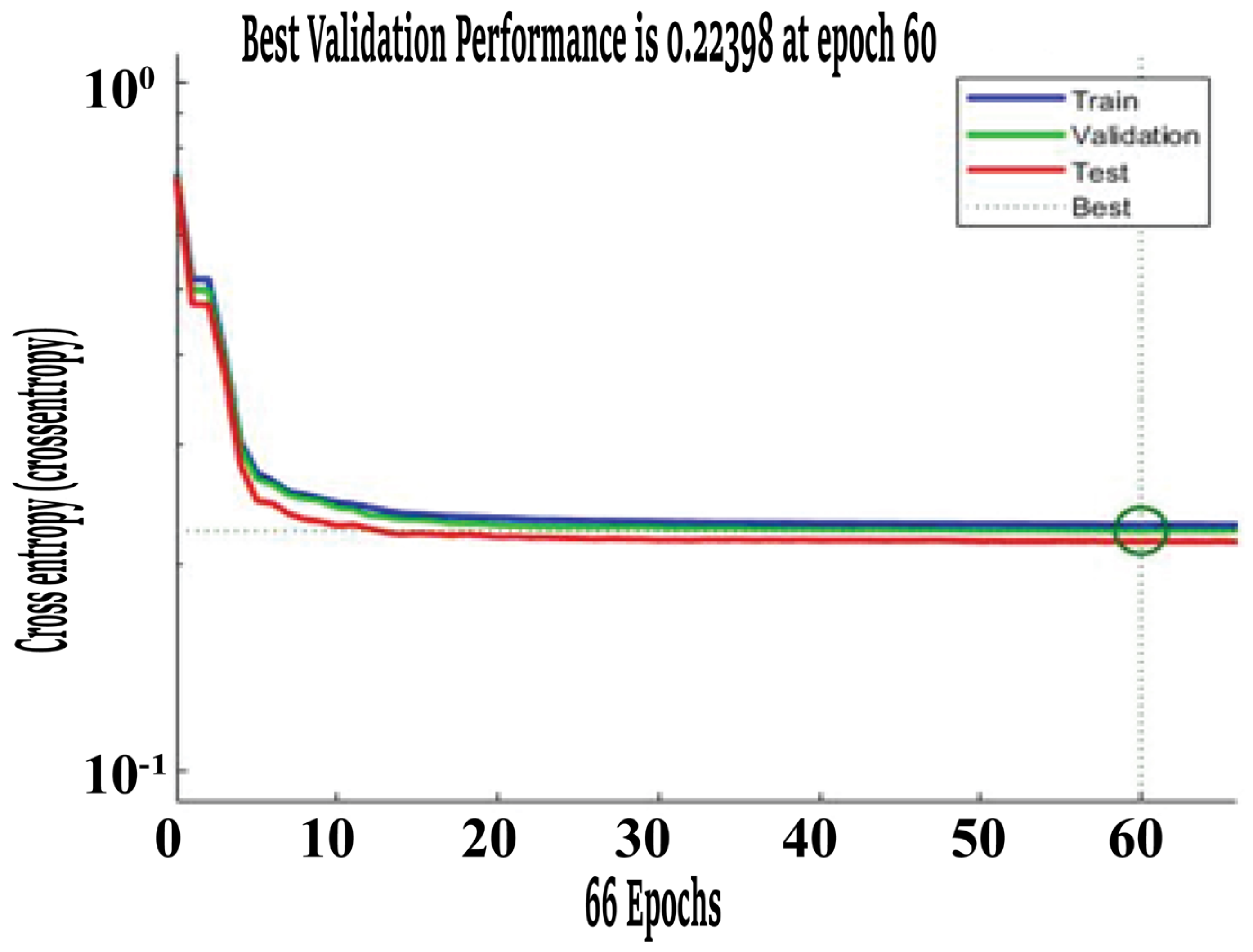 Healthcare 11 02176 g003