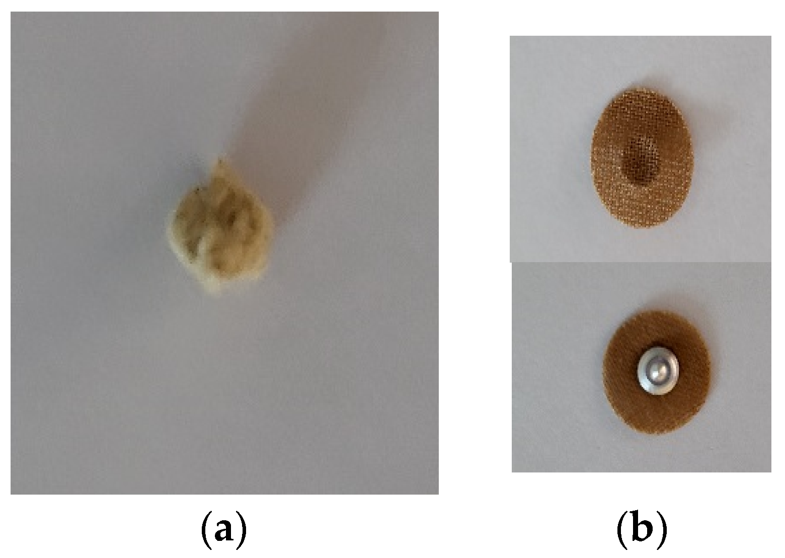 Healthcare 11 02182 g002 Healthcare 11 02182 g002