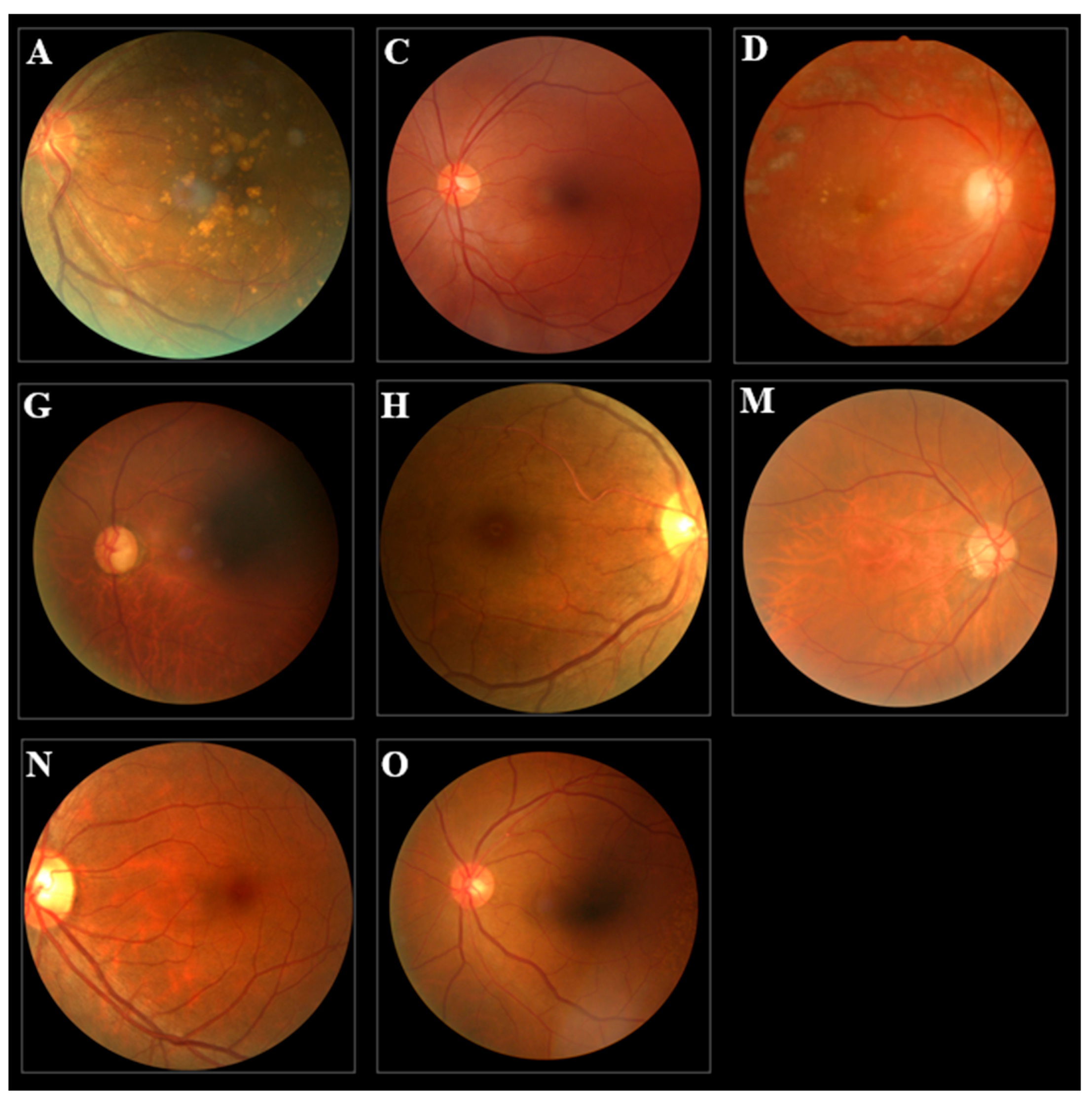 Healthcare 11 02228 g002