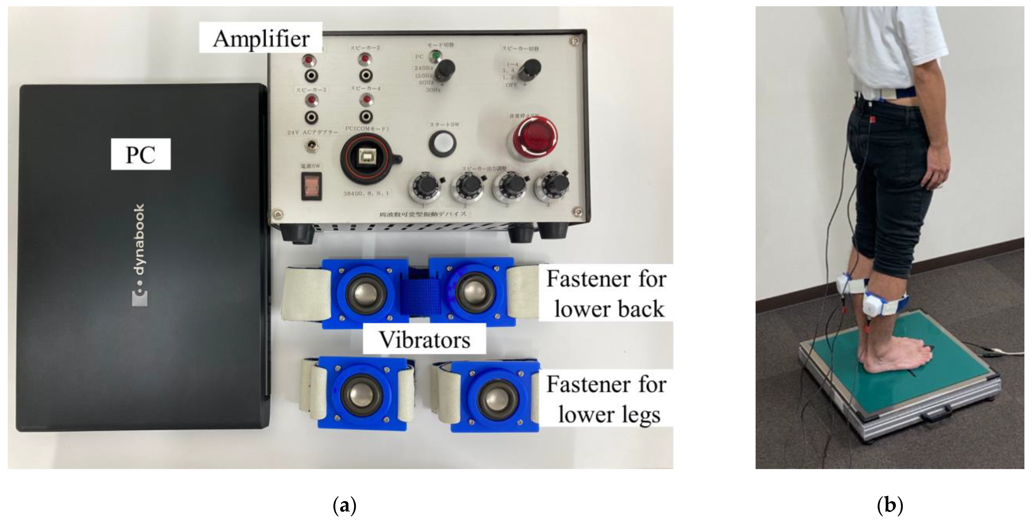 Healthcare 11 02243 g001