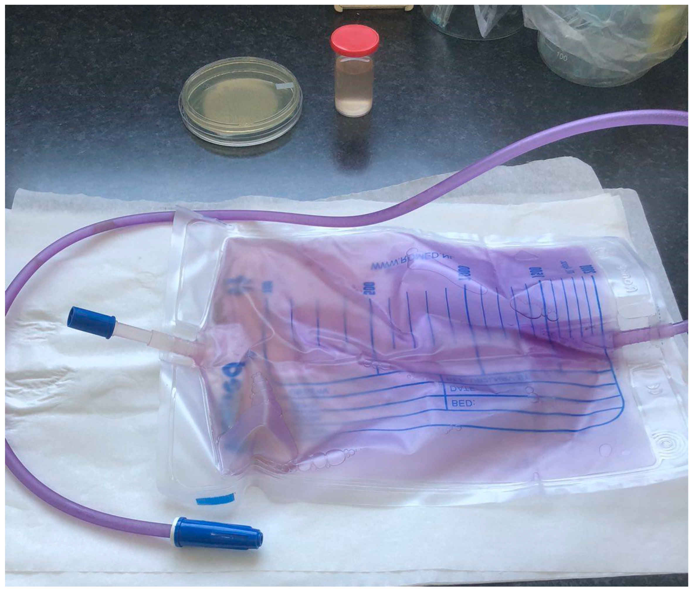 Healthcare 11 02251 g002 Healthcare 11 02251 g002