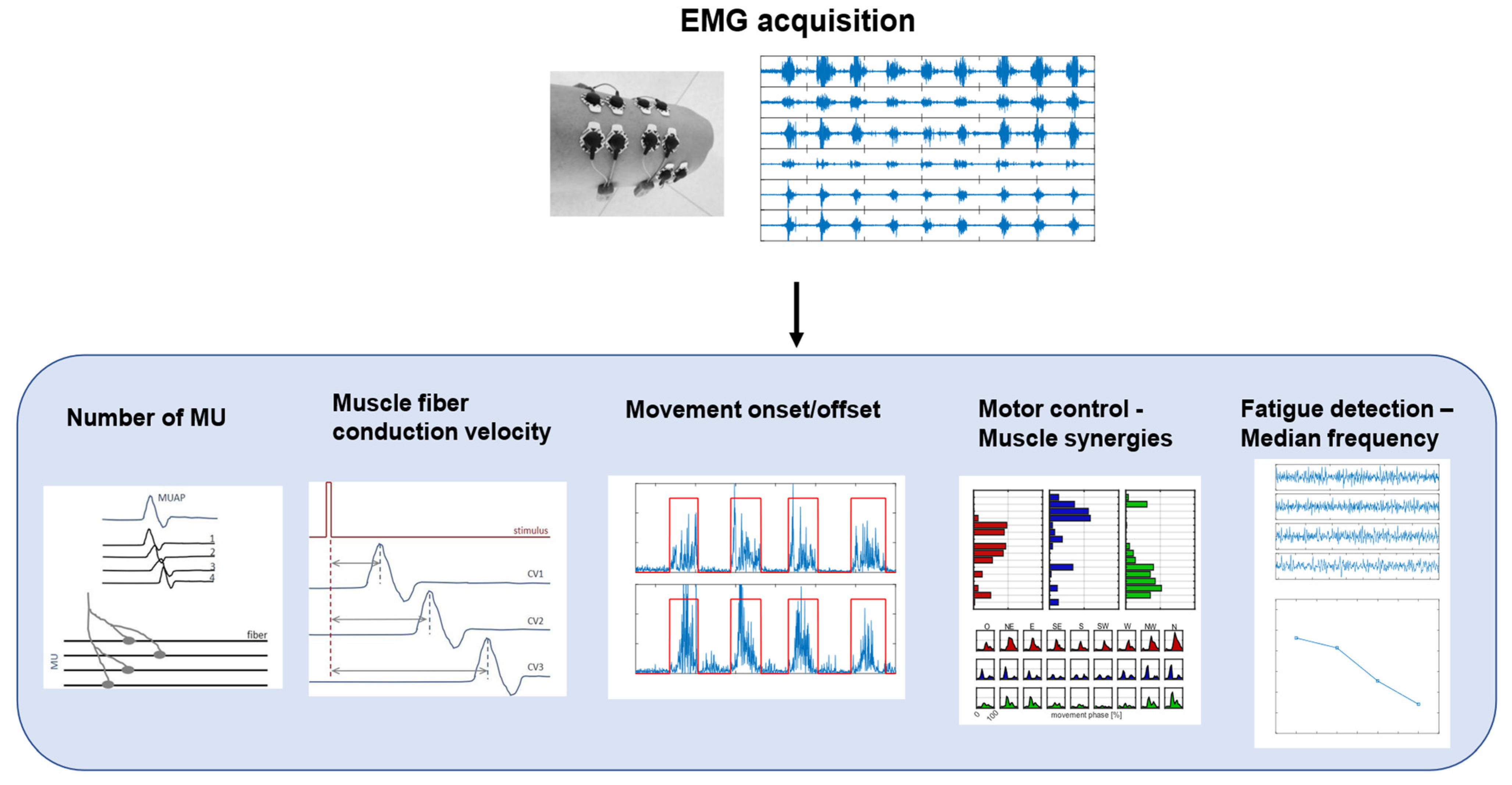 Healthcare 11 02282 g003 Healthcare 11 02282 g003