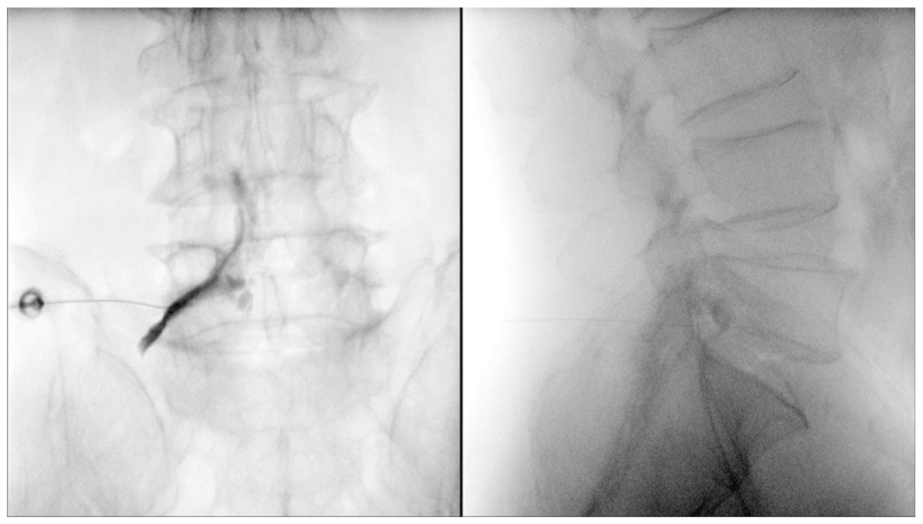 Healthcare 11 02355 g001