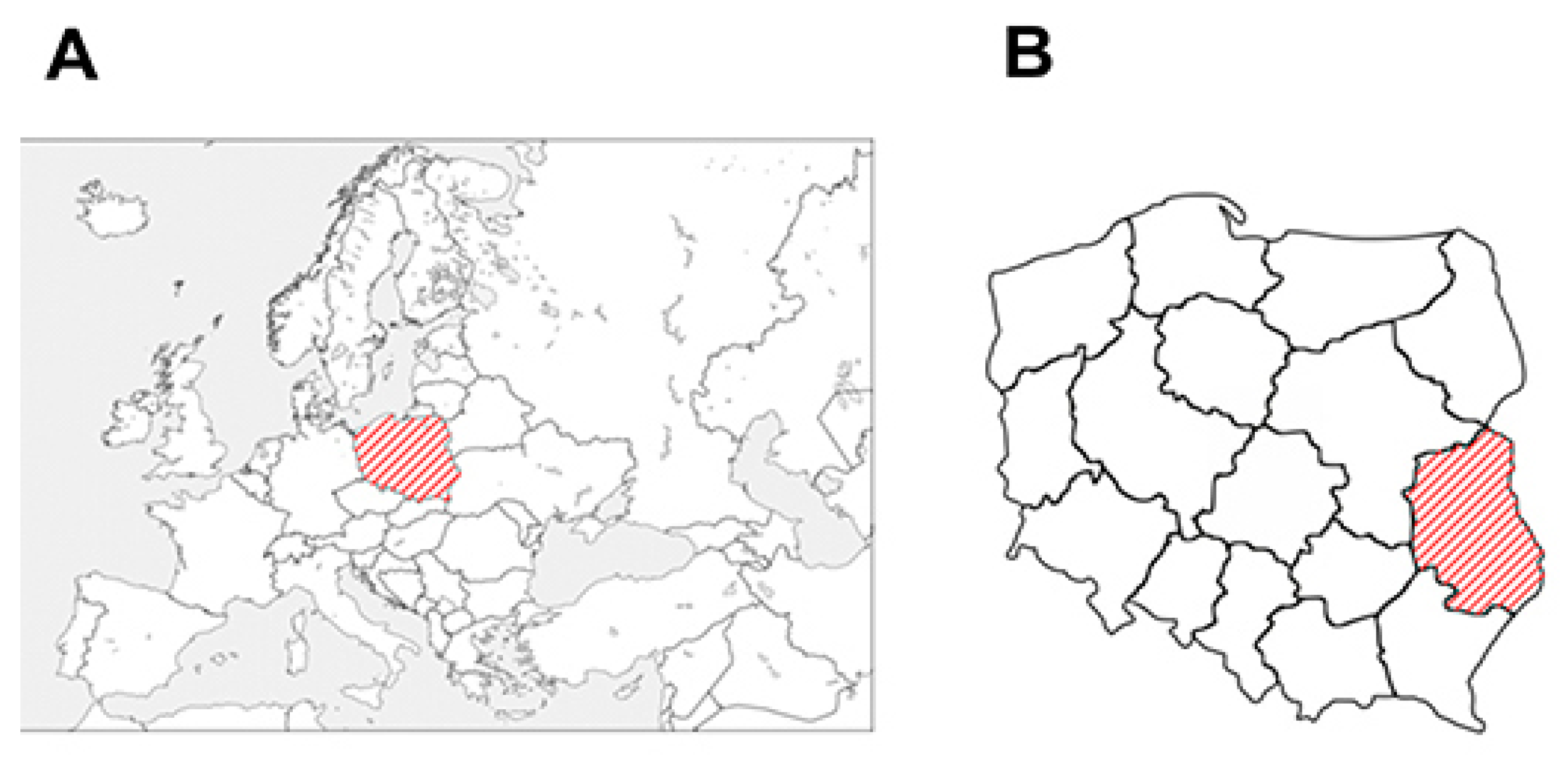 Healthcare 11 02436 g001