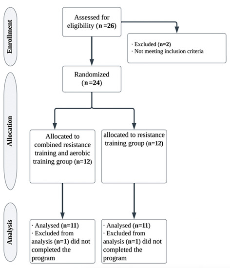 Aerobic training 2025 program