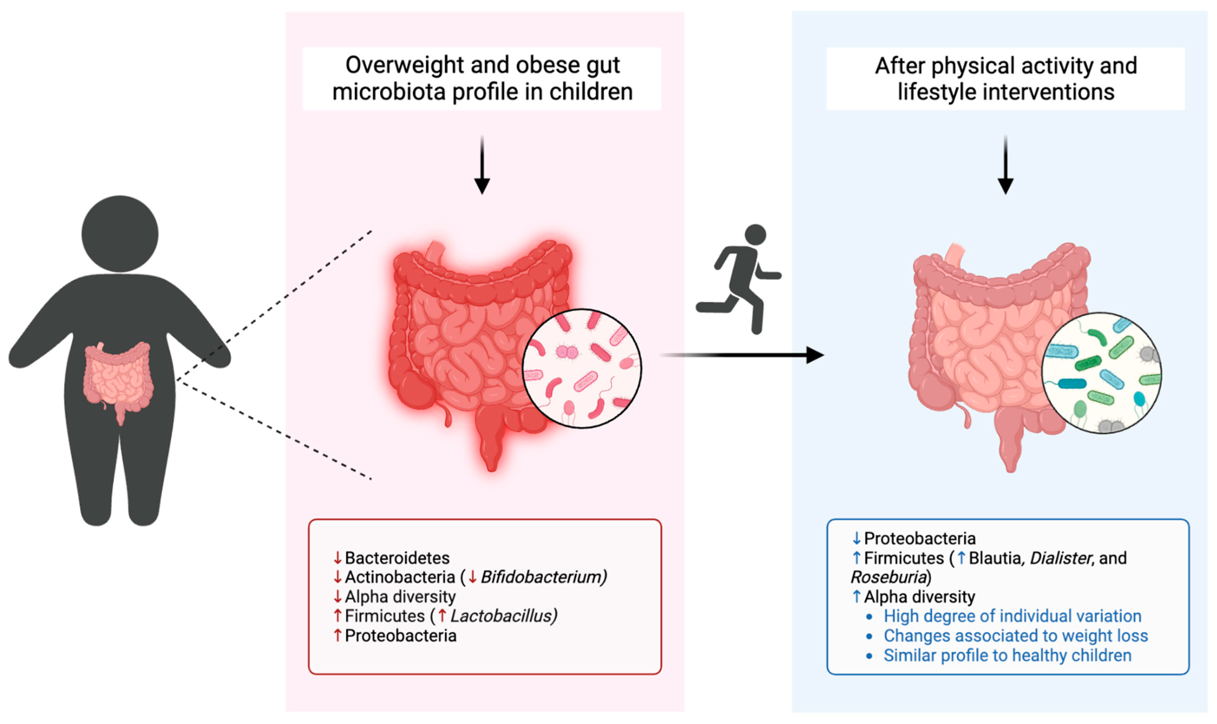Healthcare 11 02459 g005