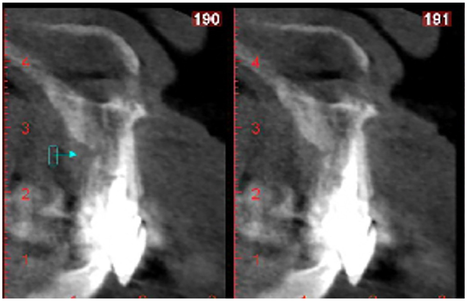 Healthcare 11 02472 g001 Healthcare 11 02472 g001