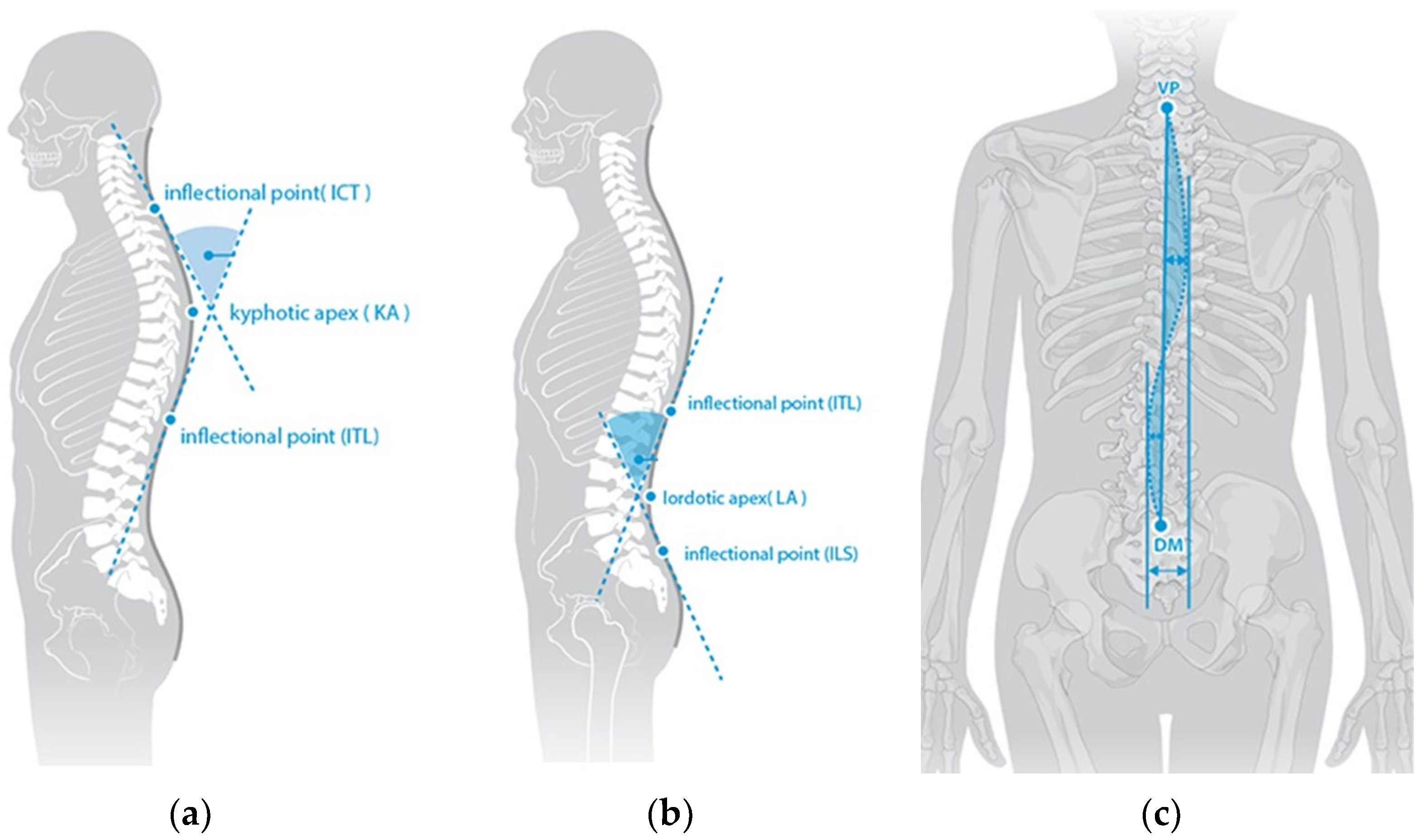 Healthcare 11 02543 g002