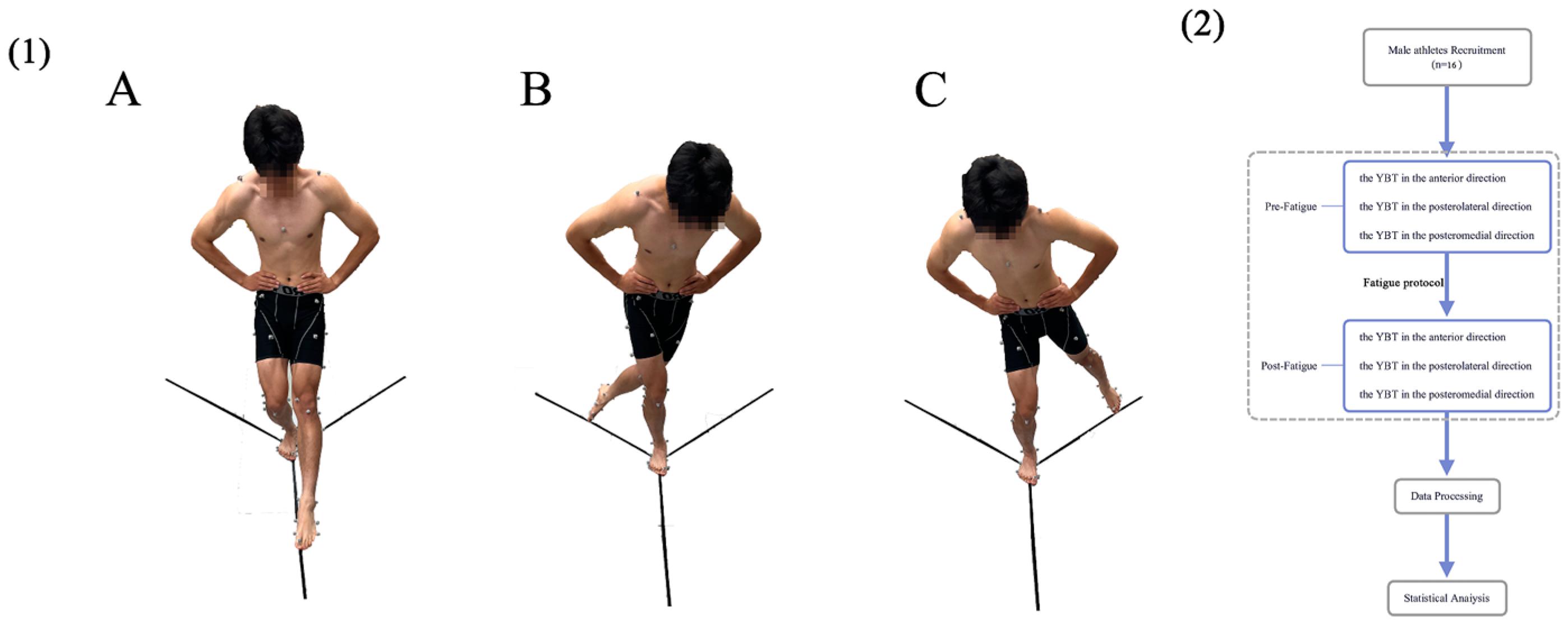 Healthcare Free Full-Text The Effects of Fatigue on the Lower Limb Biomechanics of Amateur Athletes during a Y-Balance Test image