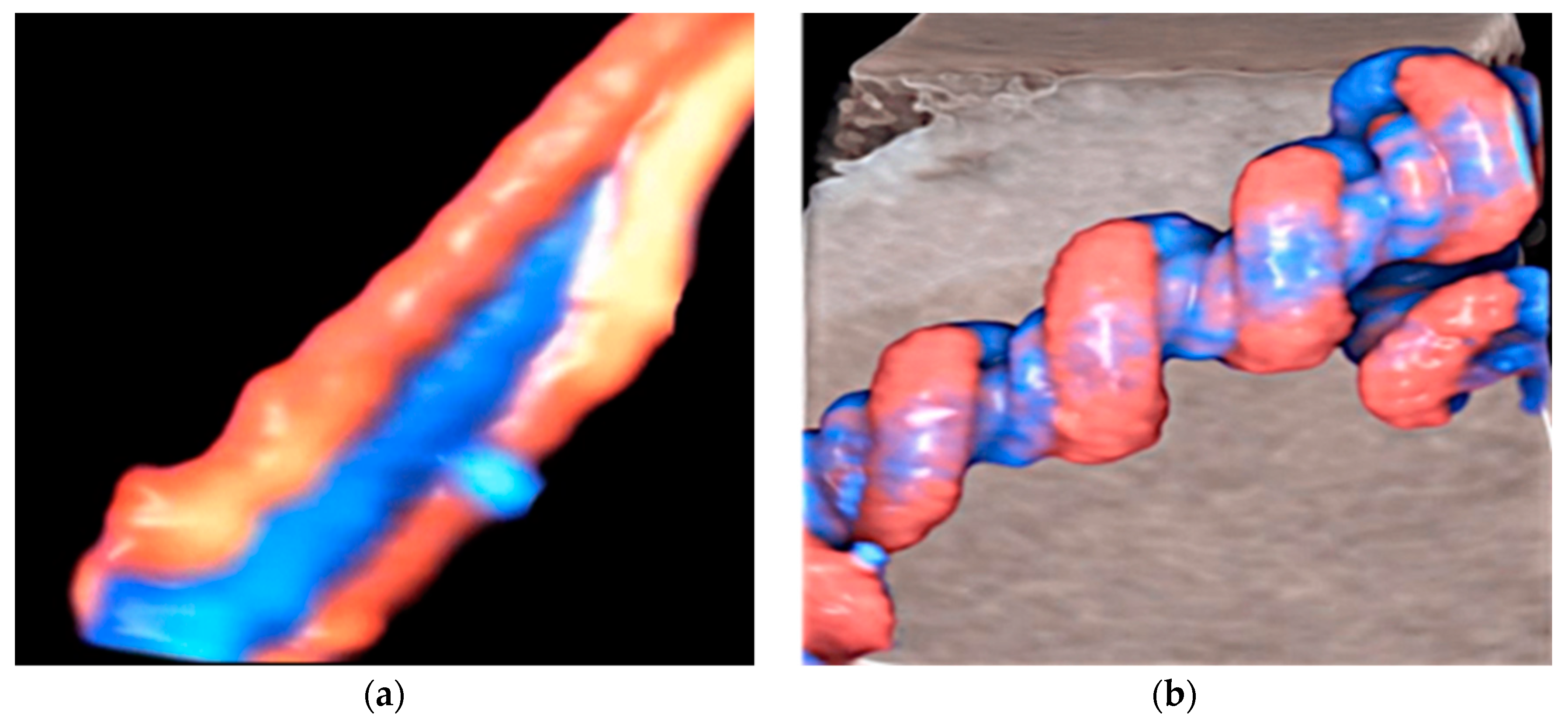 Healthcare 11 02634 g001