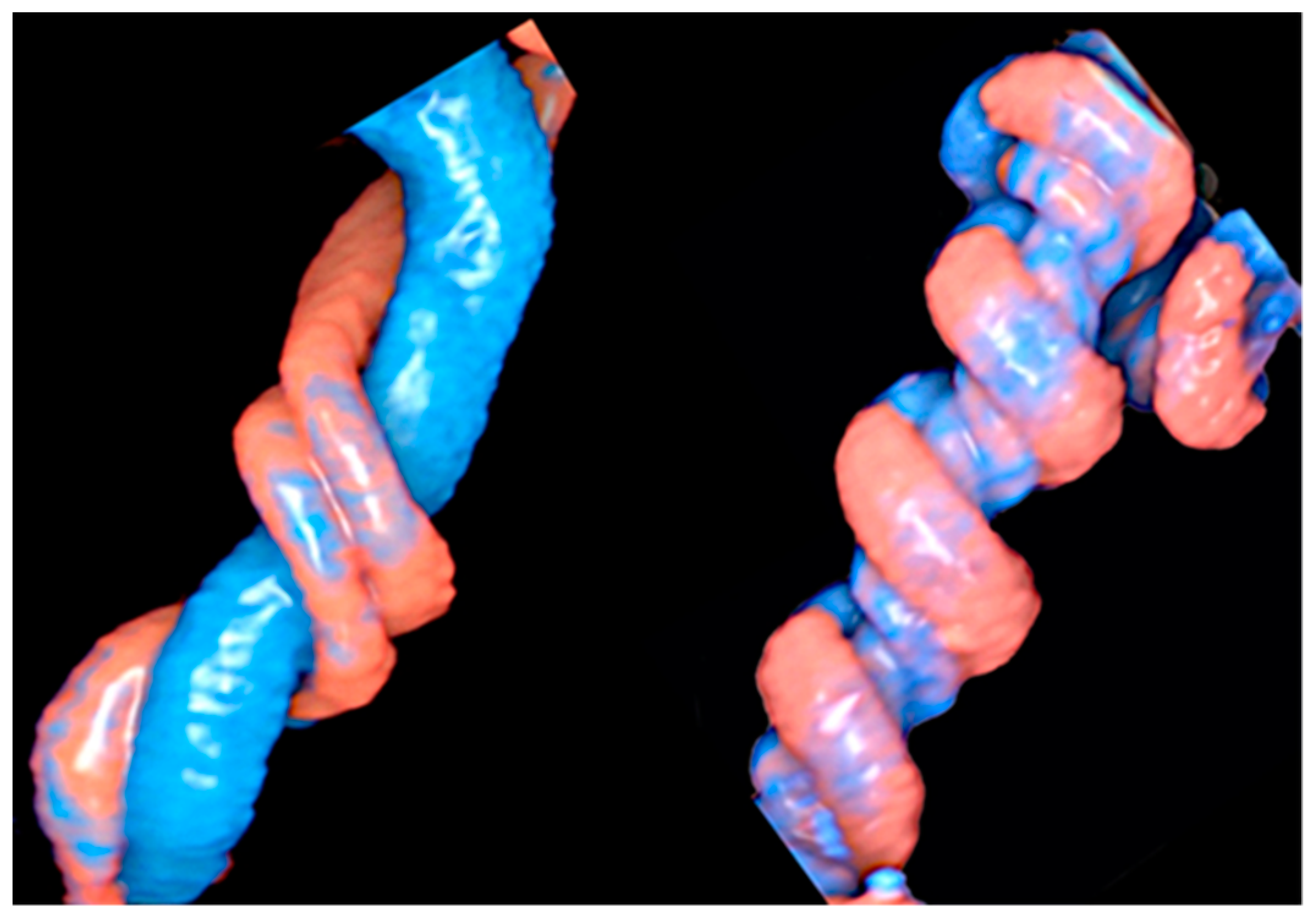 Healthcare 11 02634 g003