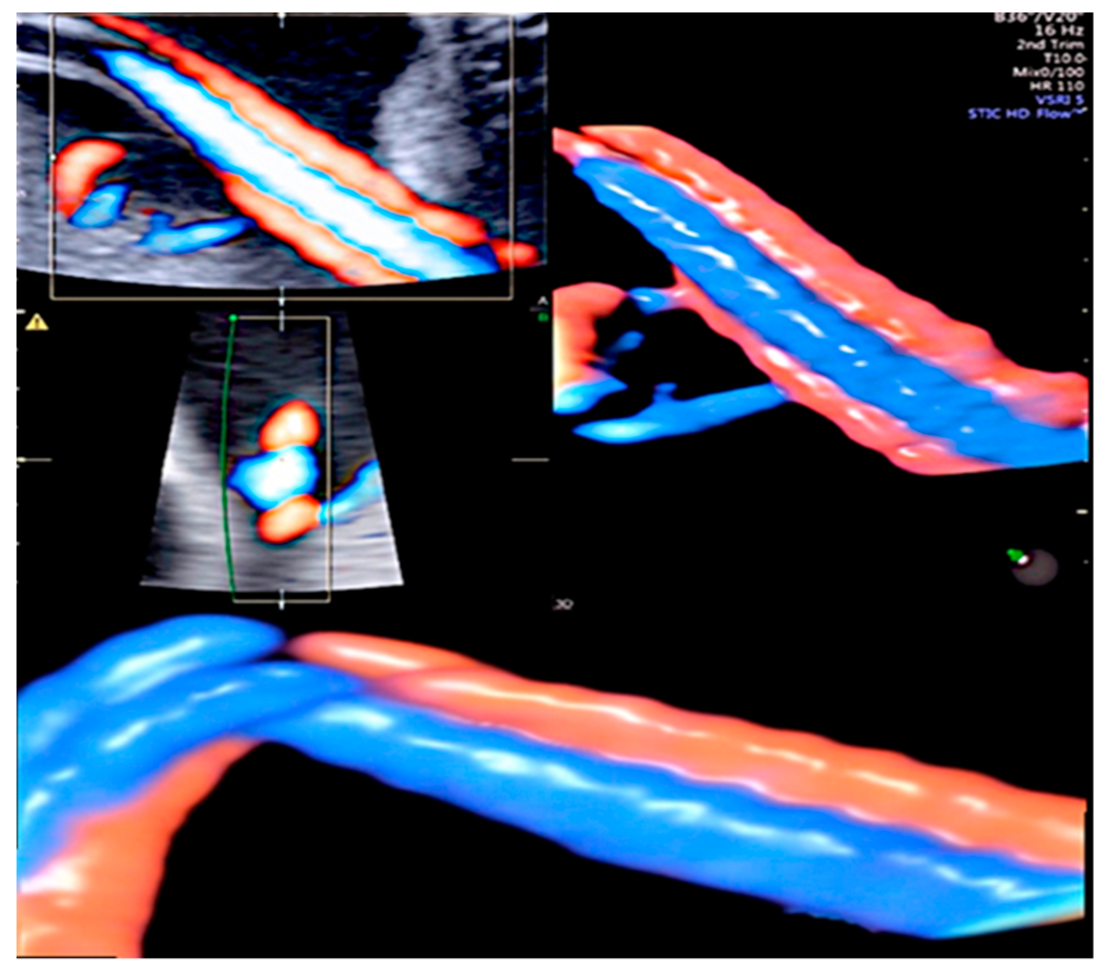 Healthcare 11 02634 g004