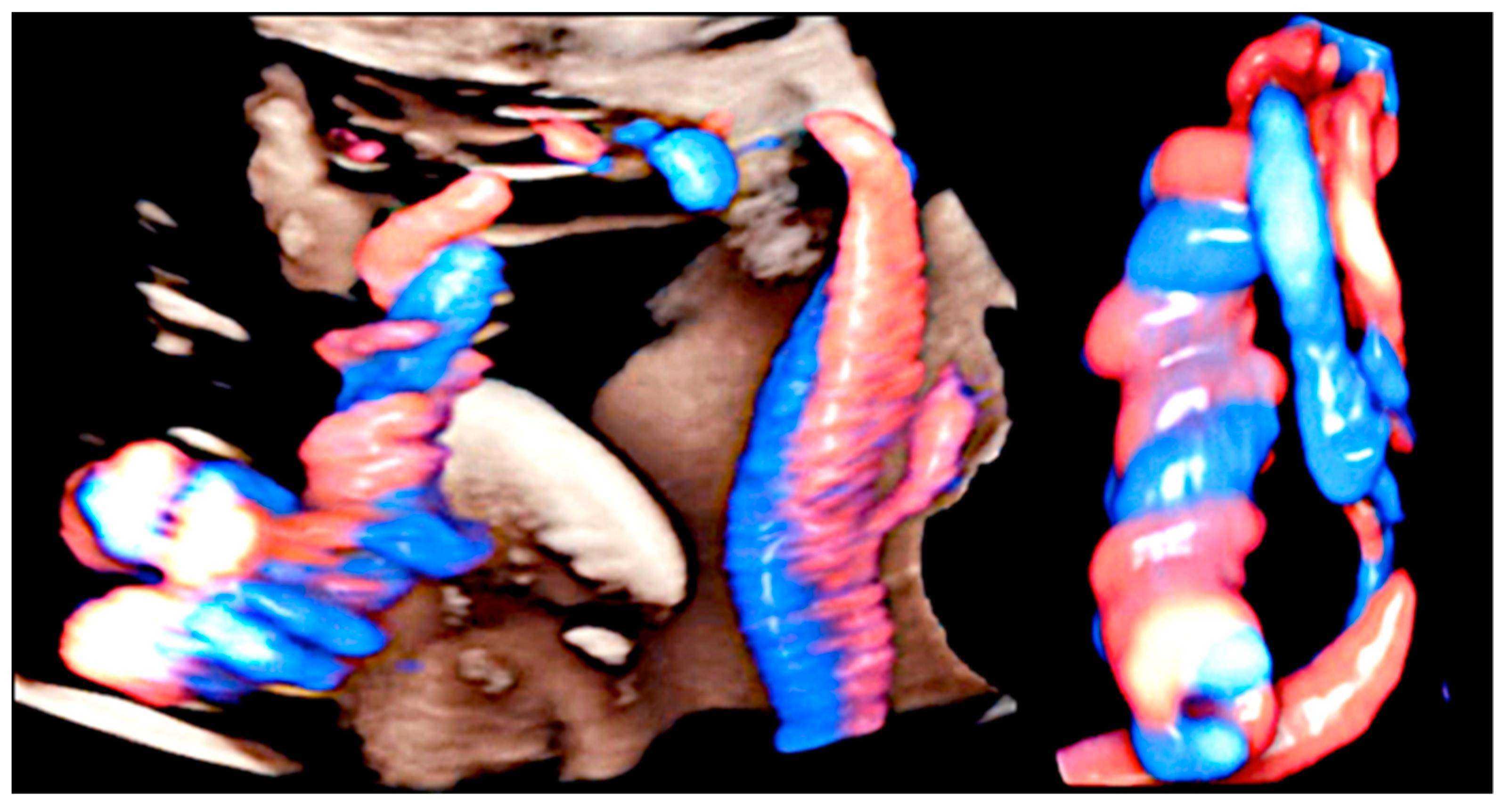 Healthcare 11 02634 g005