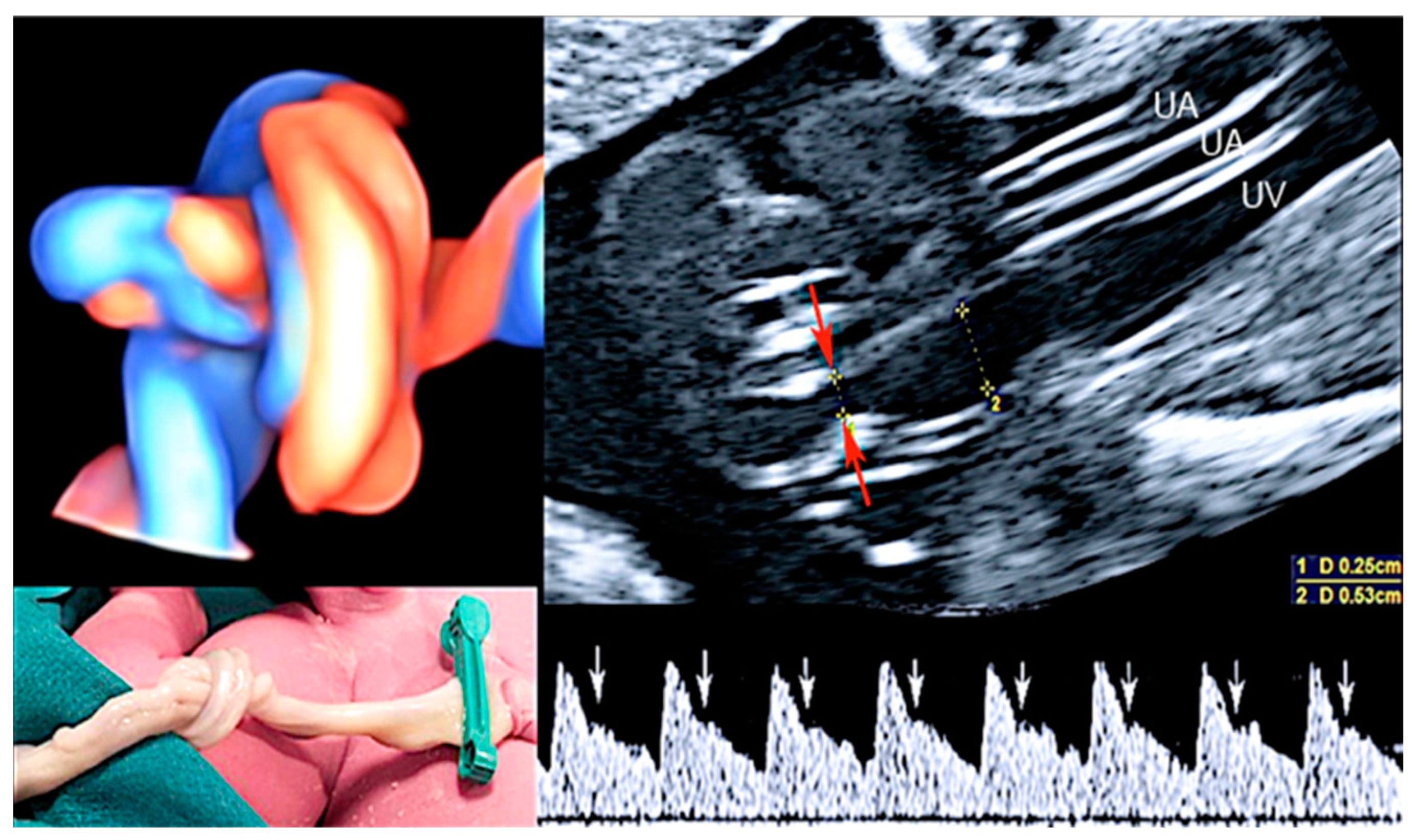 Healthcare 11 02634 g007