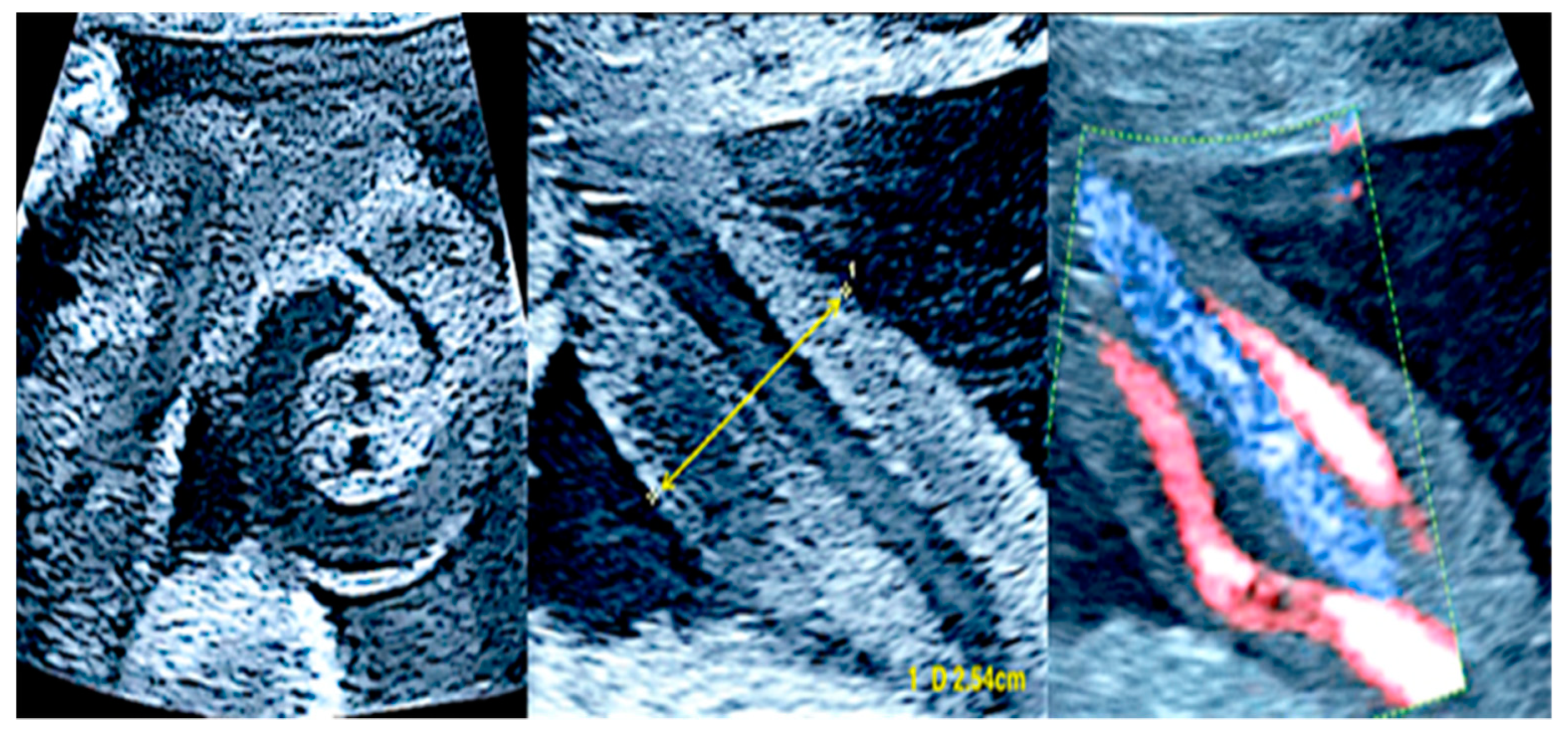 Healthcare 11 02634 g009