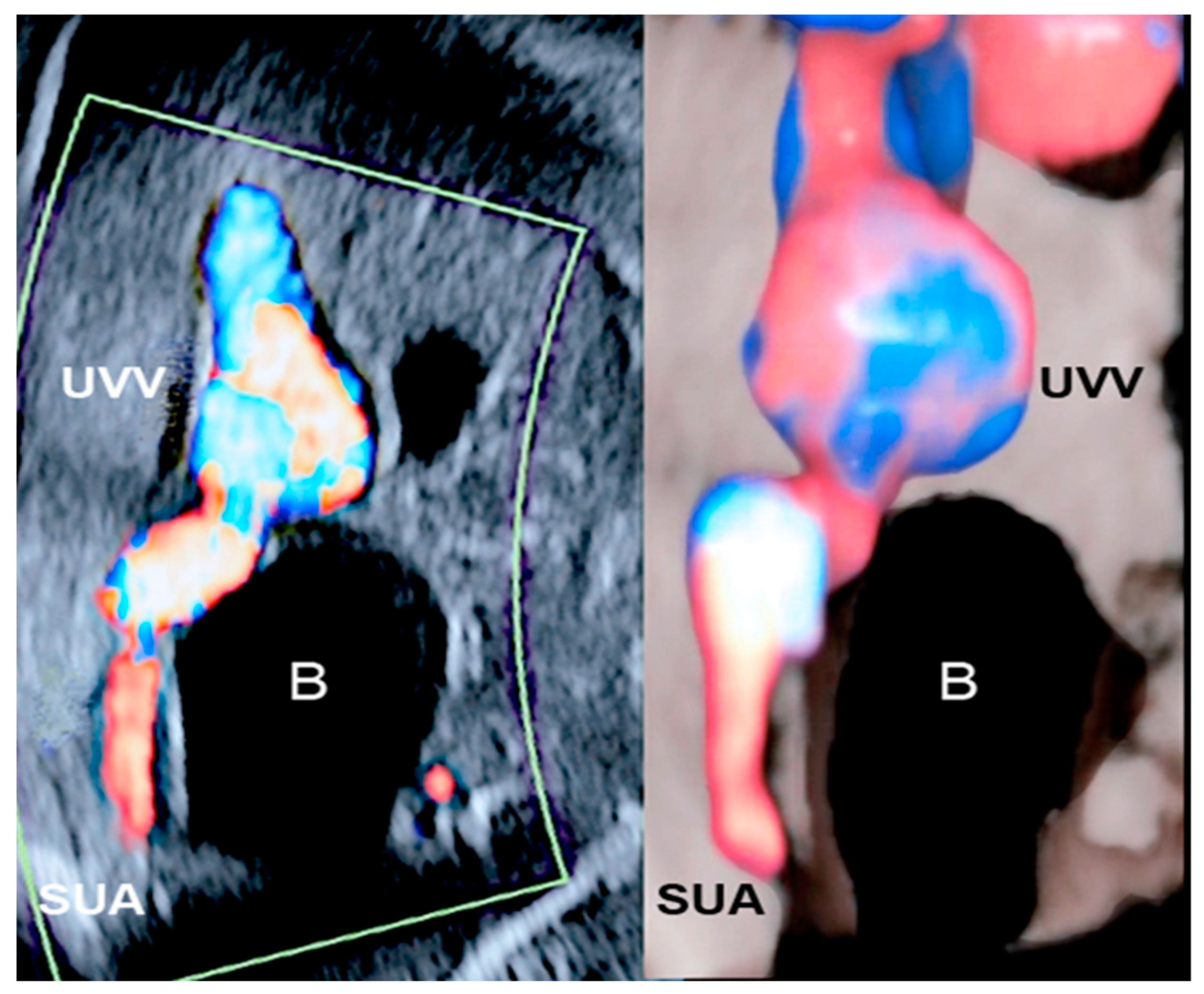 Healthcare 11 02634 g010