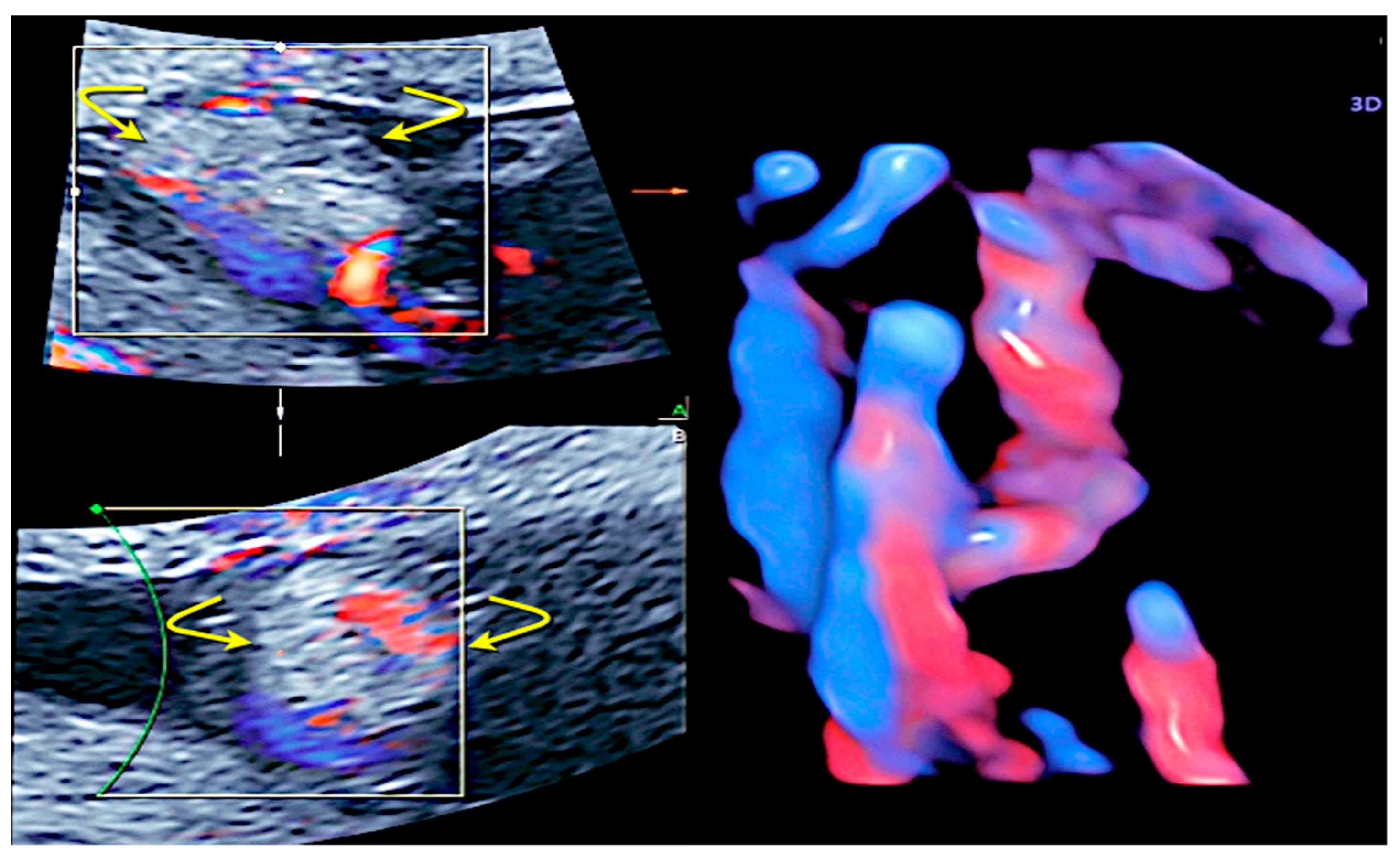 Healthcare 11 02634 g013