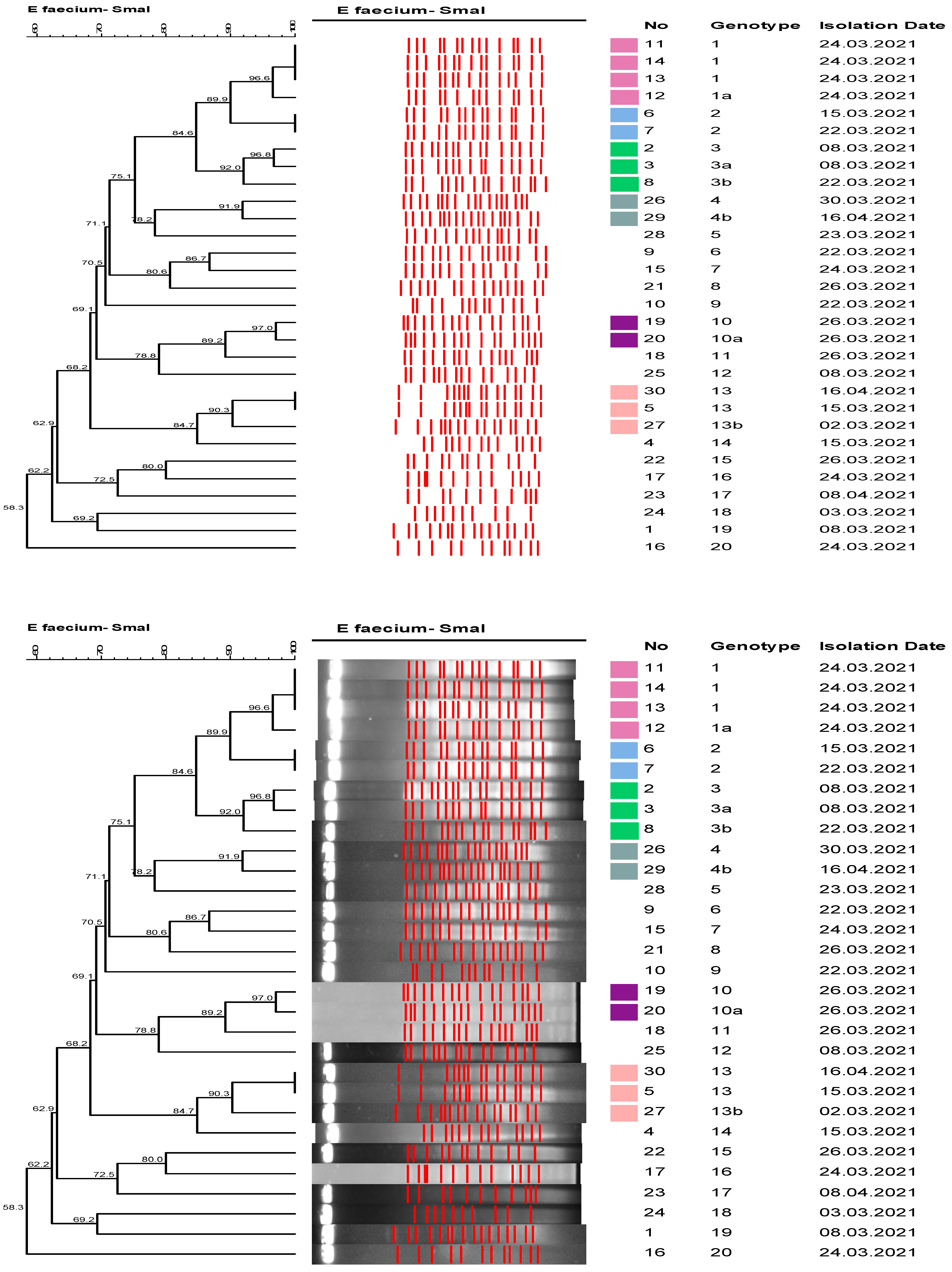 Healthcare 11 02641 g001 Healthcare 11 02641 g001