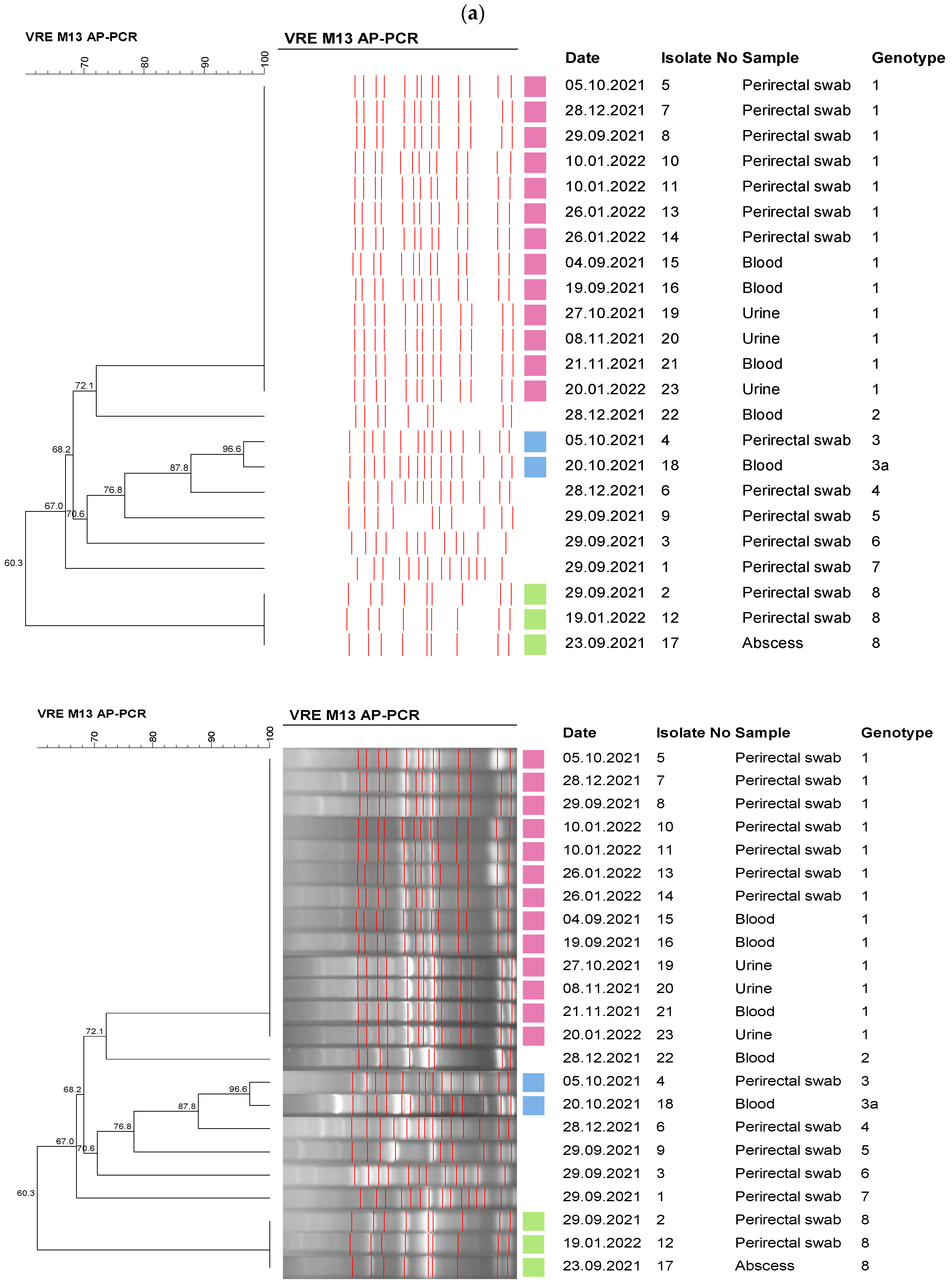 Healthcare 11 02641 g002a Healthcare 11 02641 g002a