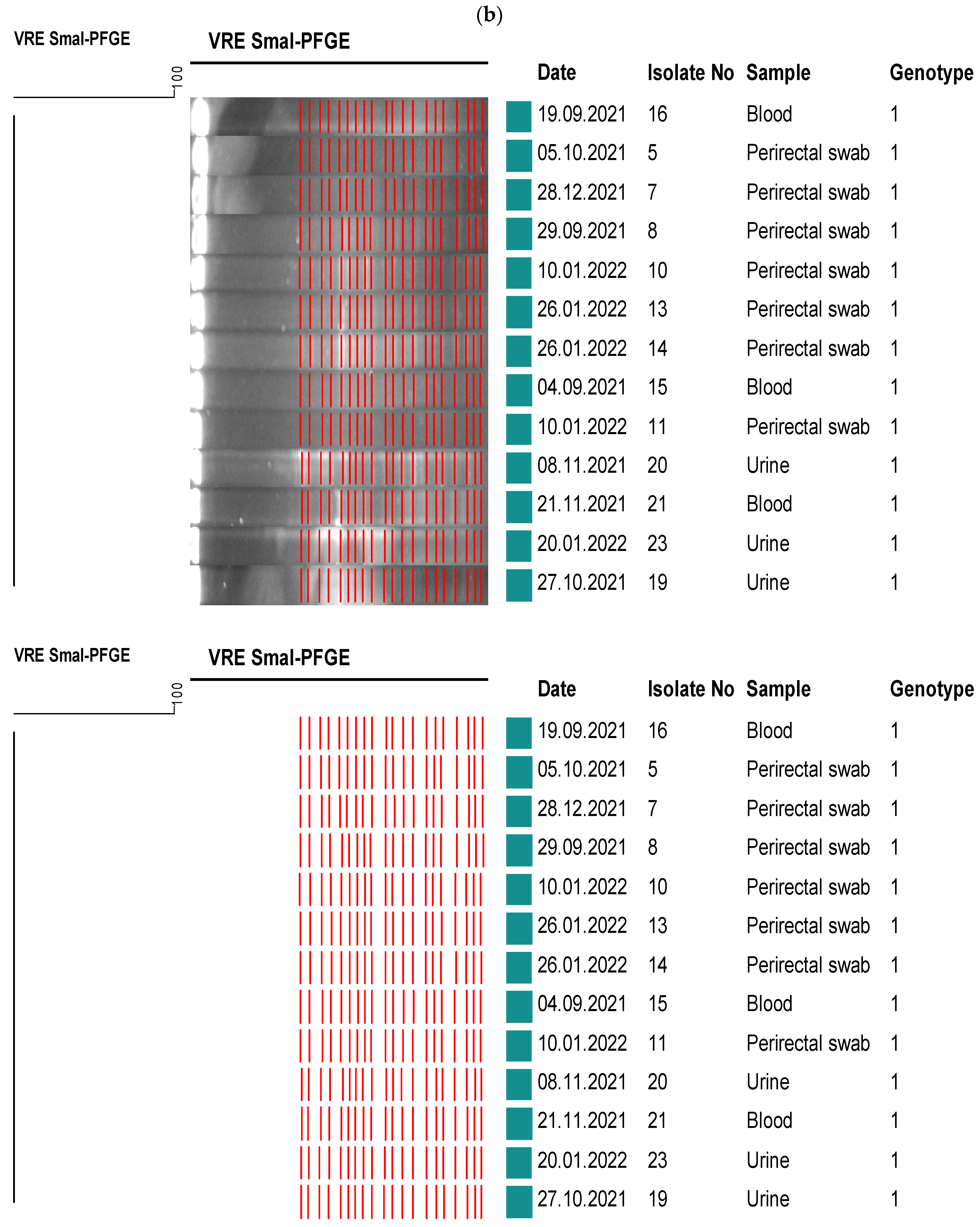 Healthcare 11 02641 g002b Healthcare 11 02641 g002b