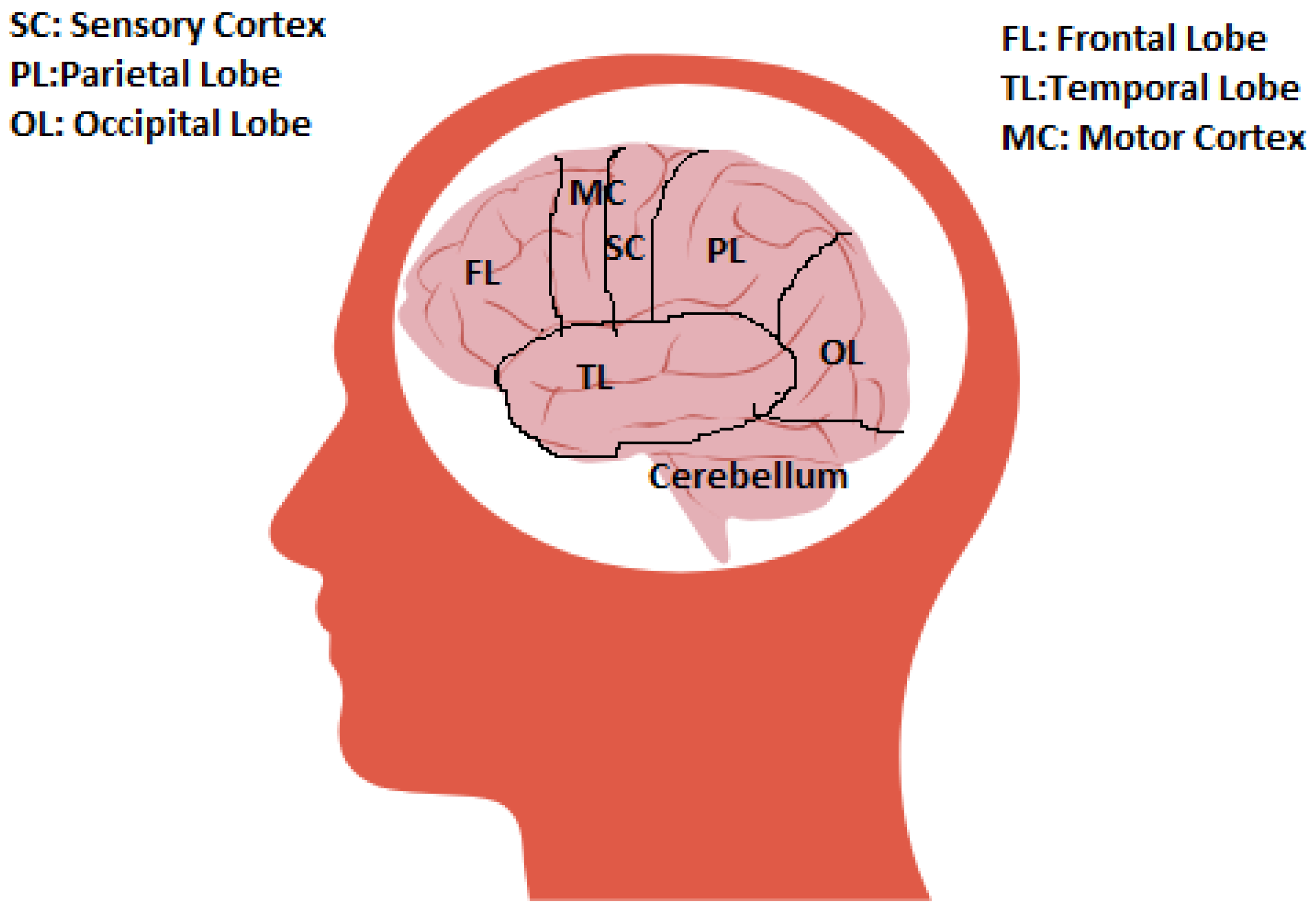 Healthcare 11 02653 g002