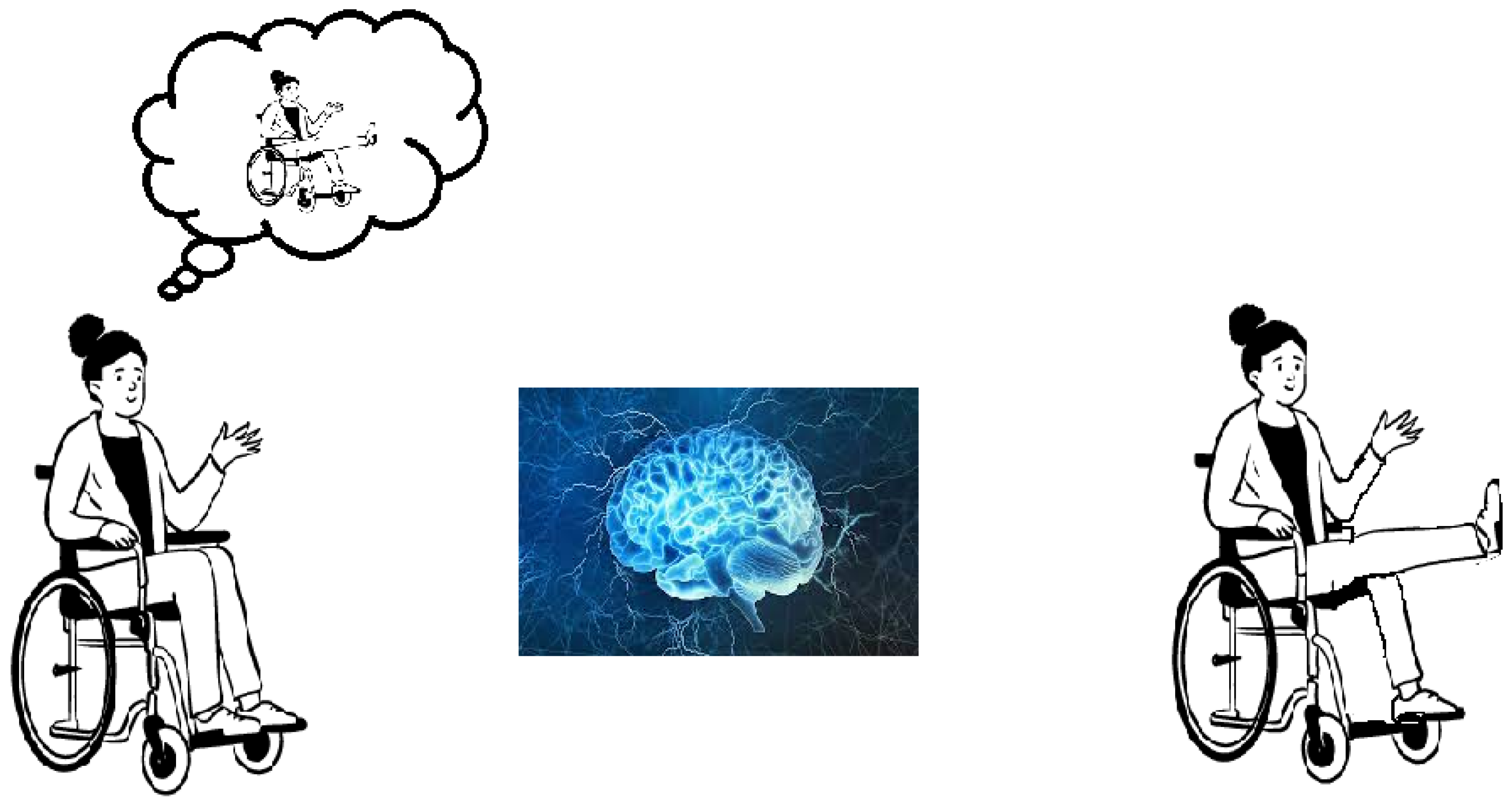 Healthcare 11 02653 g003