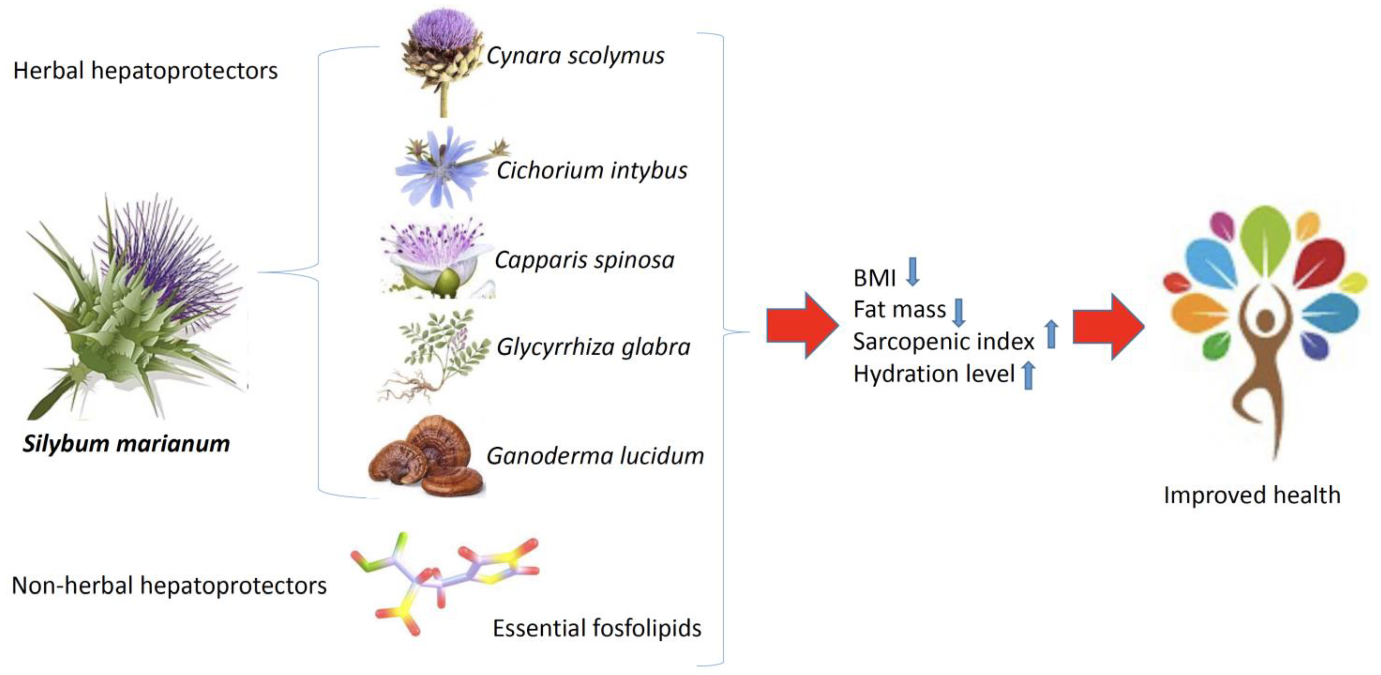 Healthcare 11 02685 g006