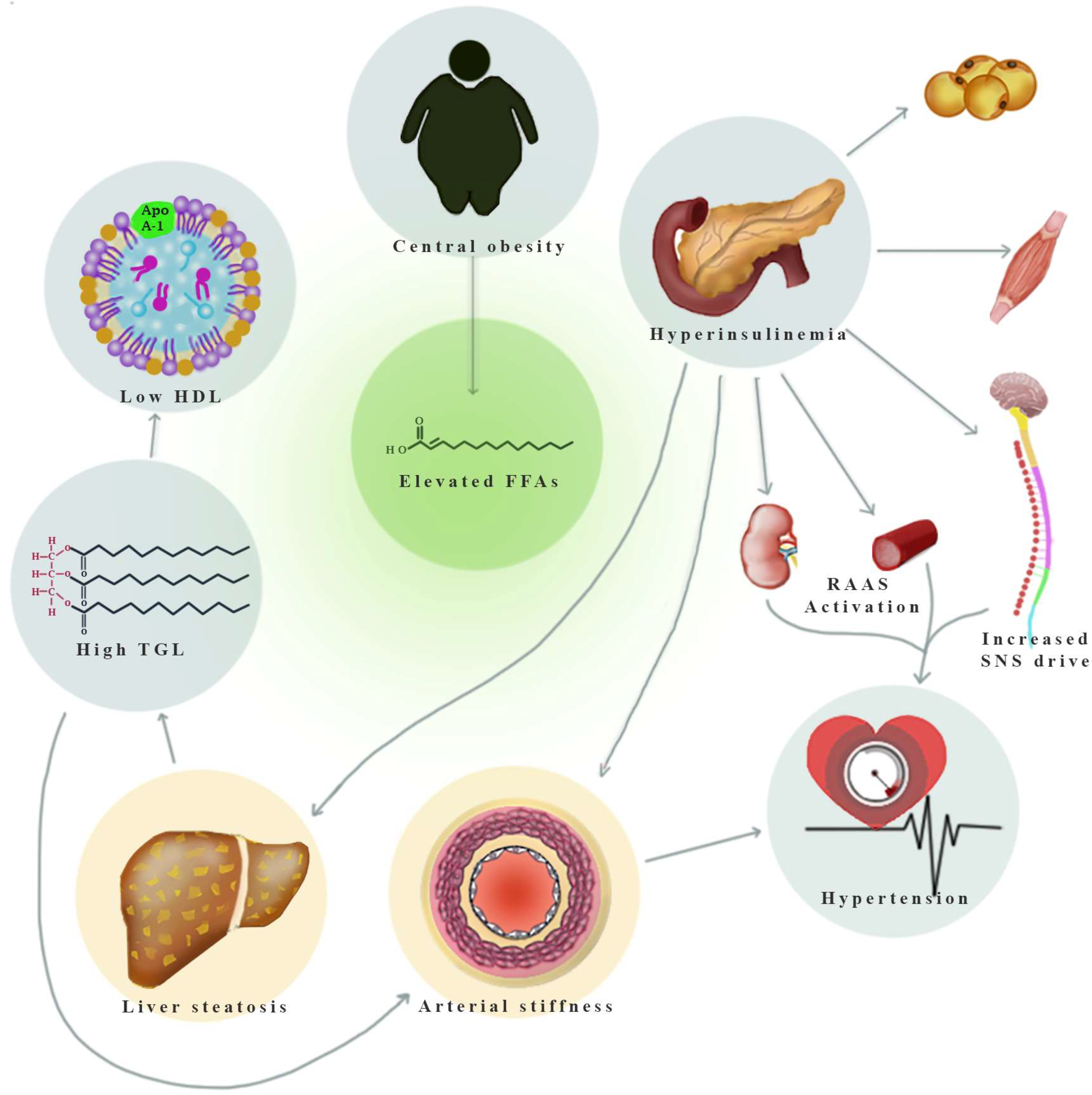 Healthcare 11 02696 g001