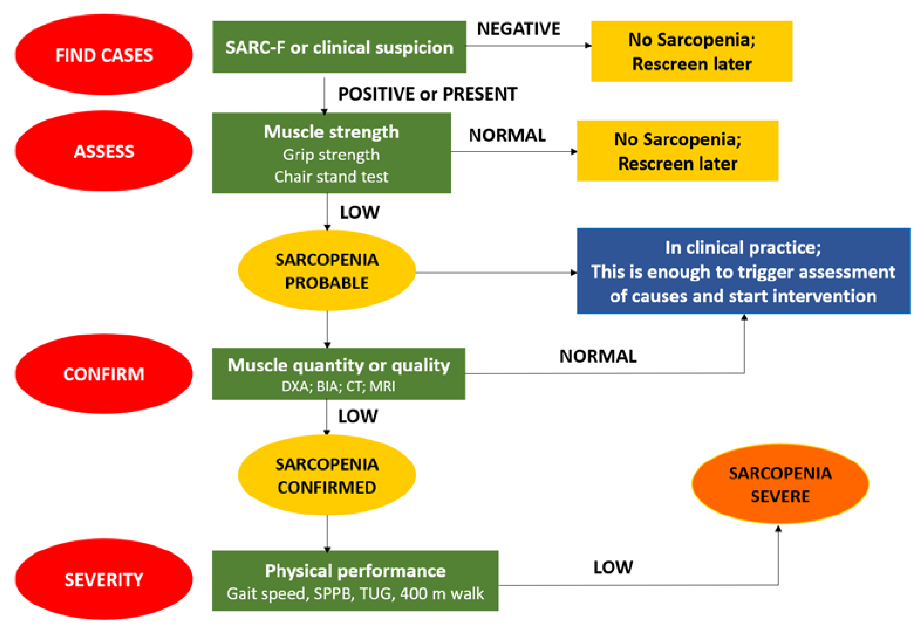 Healthcare 11 02699 g002