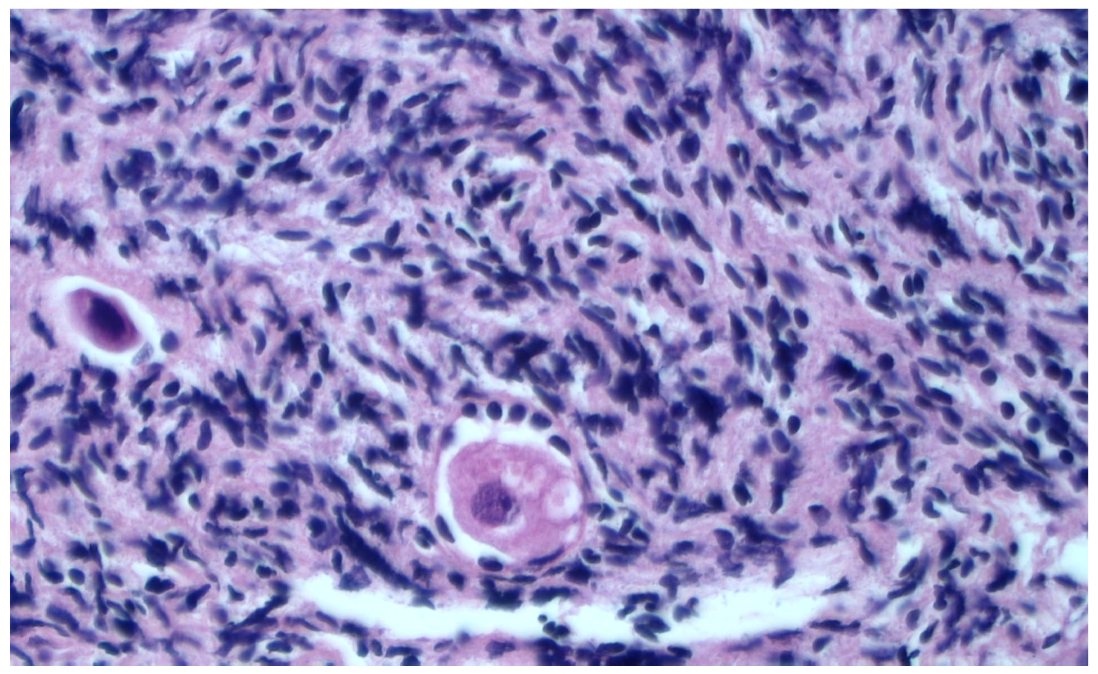 Healthcare 11 02727 g001