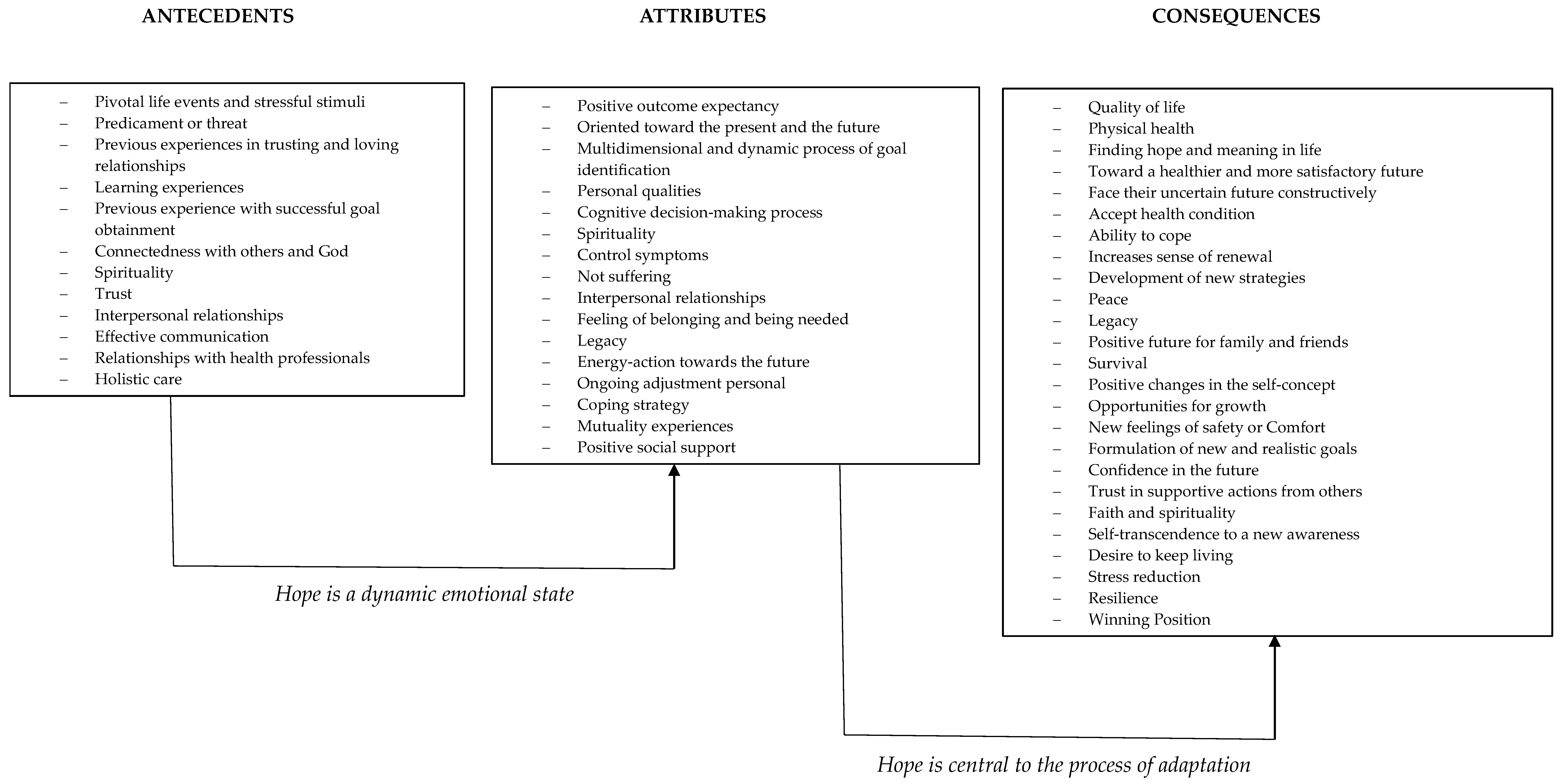 Healthcare 11 02739 g002