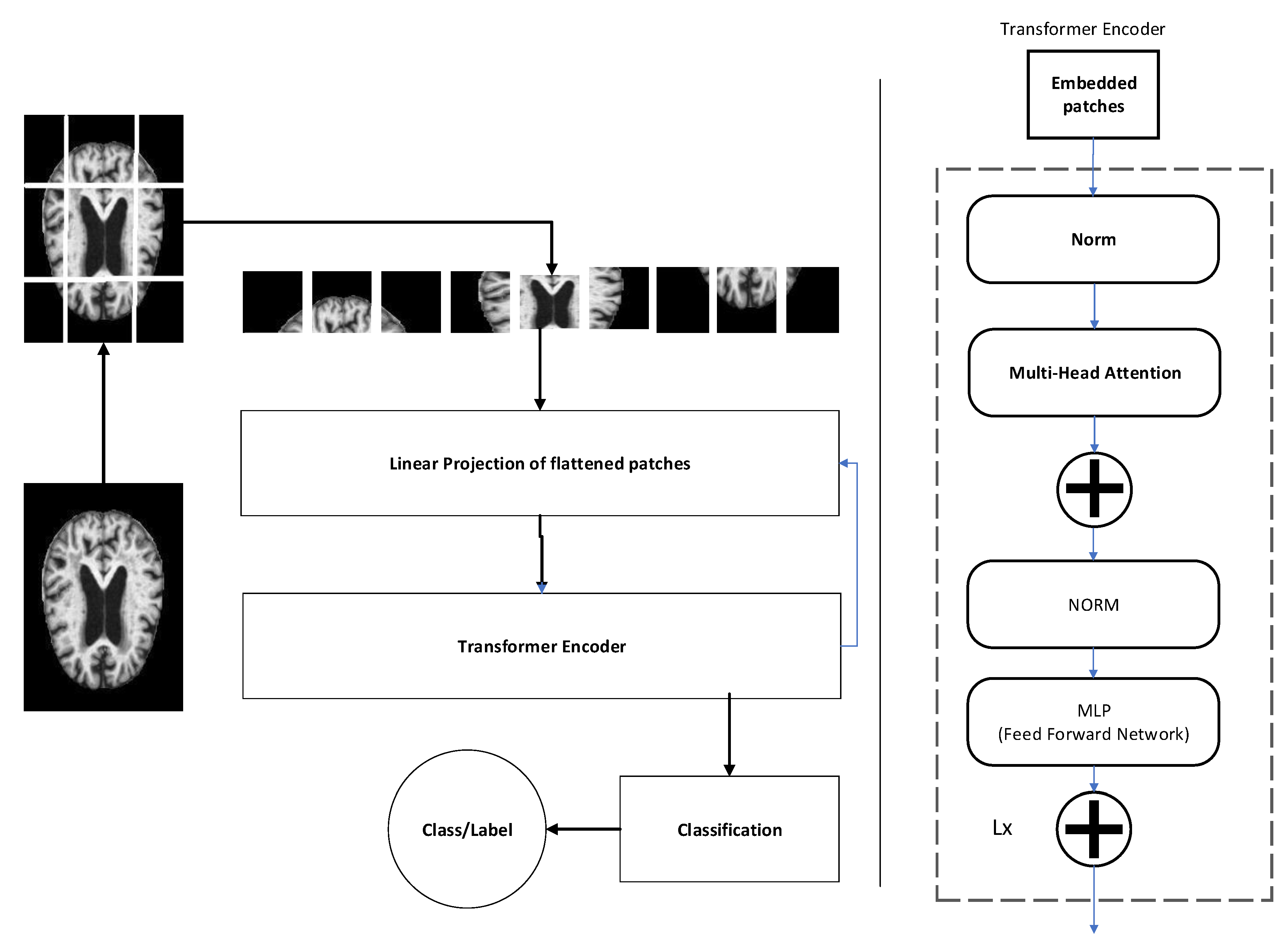 Healthcare 11 02763 g002