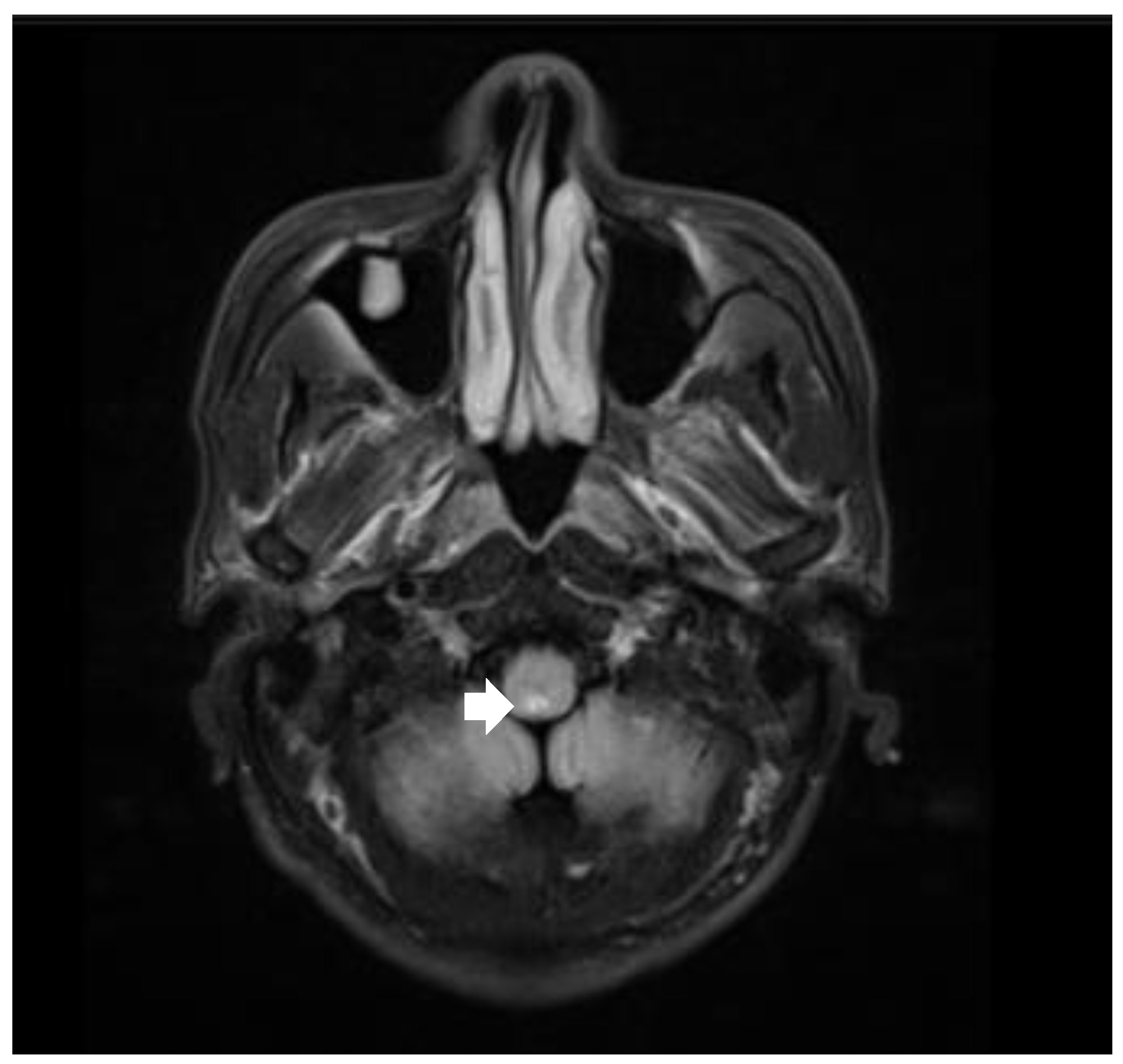 Healthcare 11 02810 g002