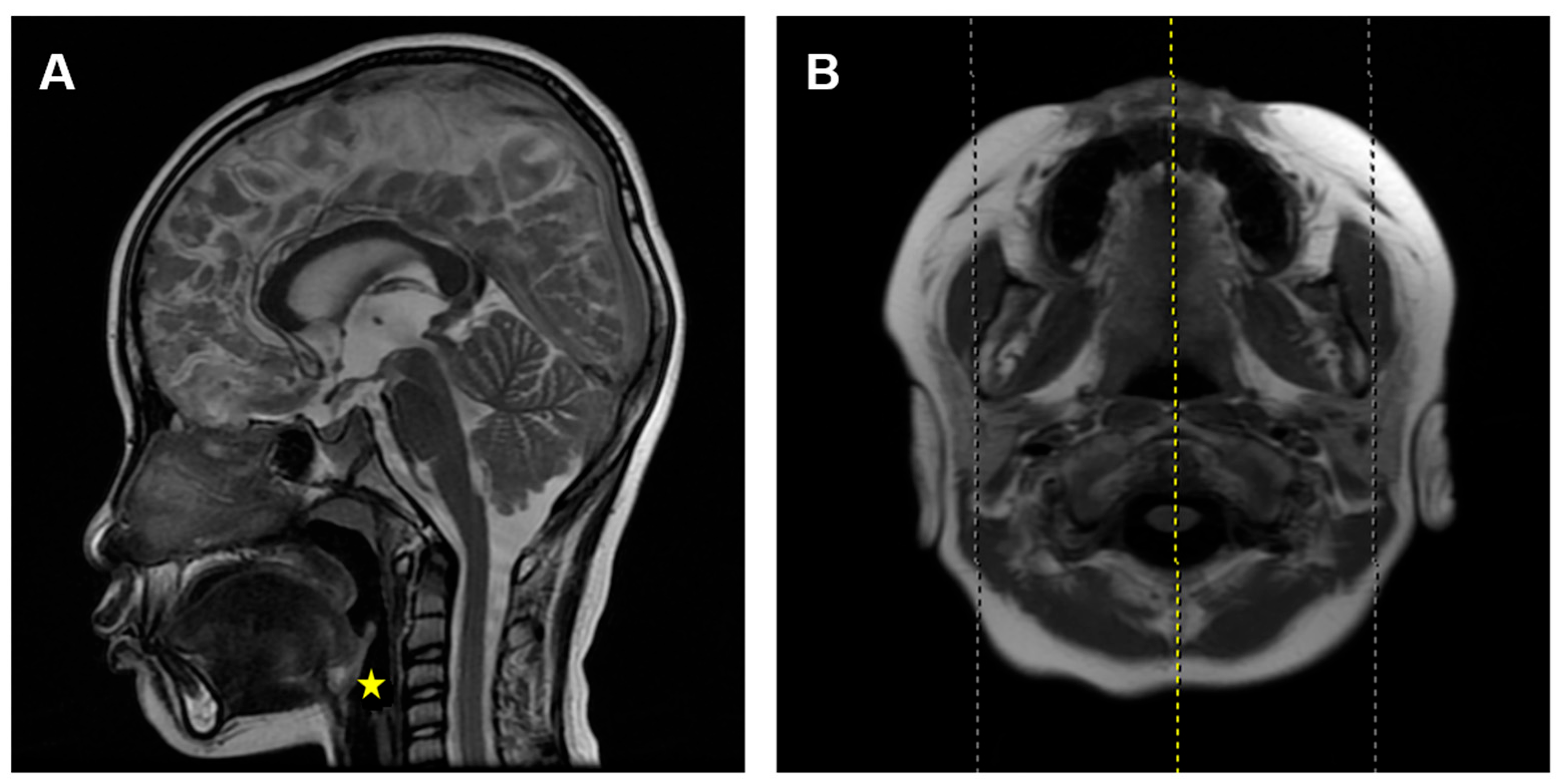 Healthcare 11 02812 g001