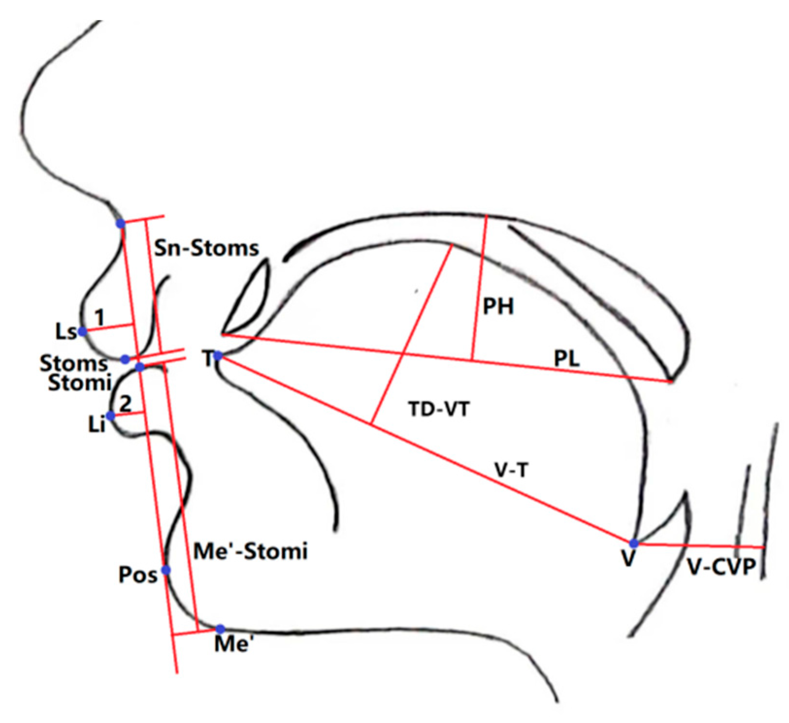 Healthcare 11 02812 g003