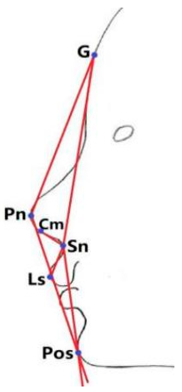 Healthcare 11 02812 g004