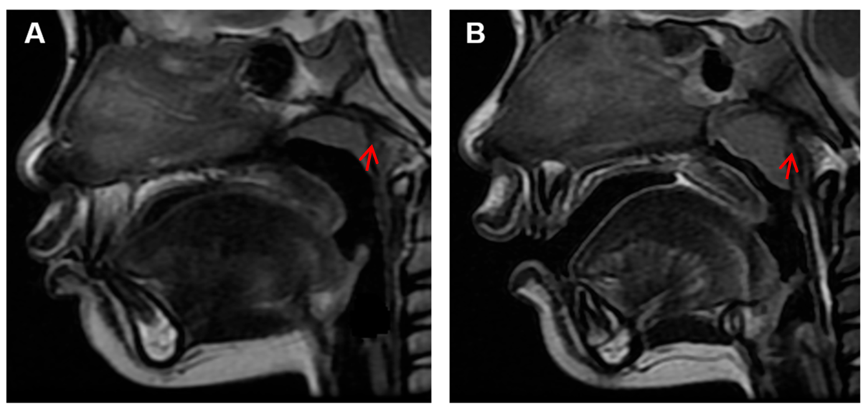 Healthcare 11 02812 g005