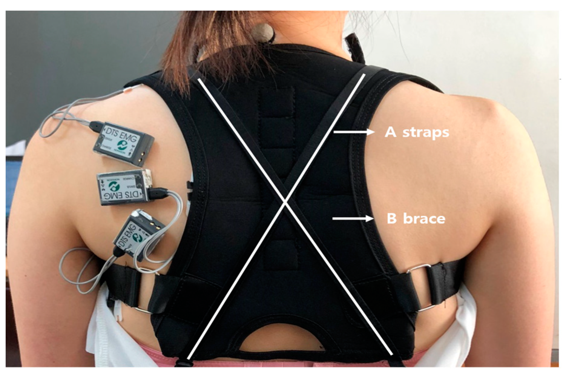 https://www.mdpi.com/healthcare/healthcare-11-02832/article_deploy/html/images/healthcare-11-02832-g003.png