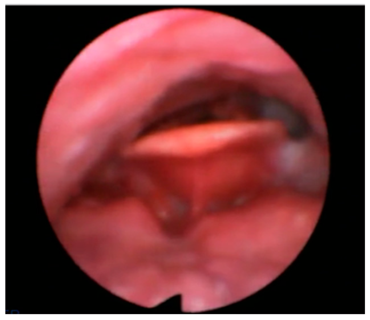 Healthcare 11 02874 g001