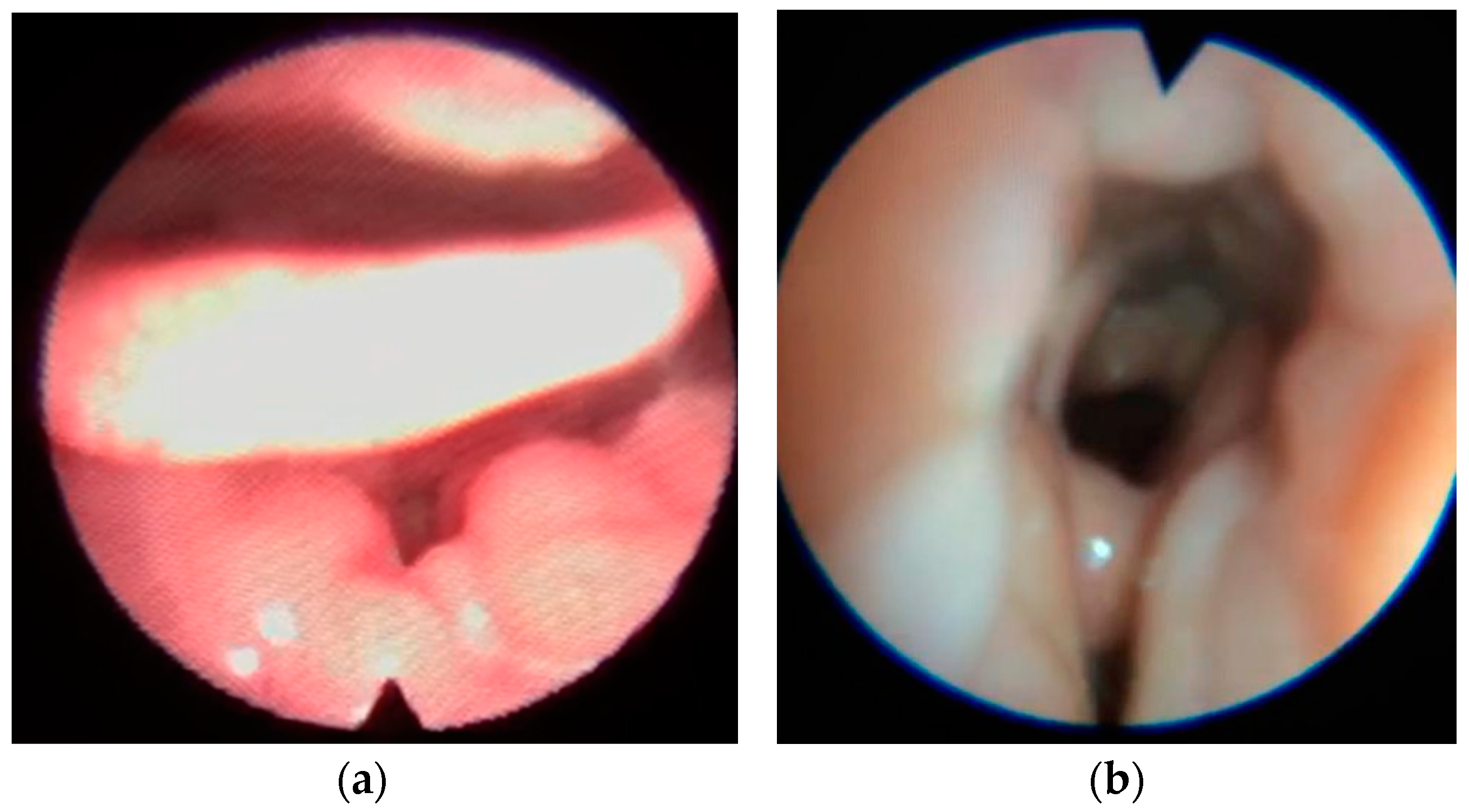 Healthcare 11 02874 g004